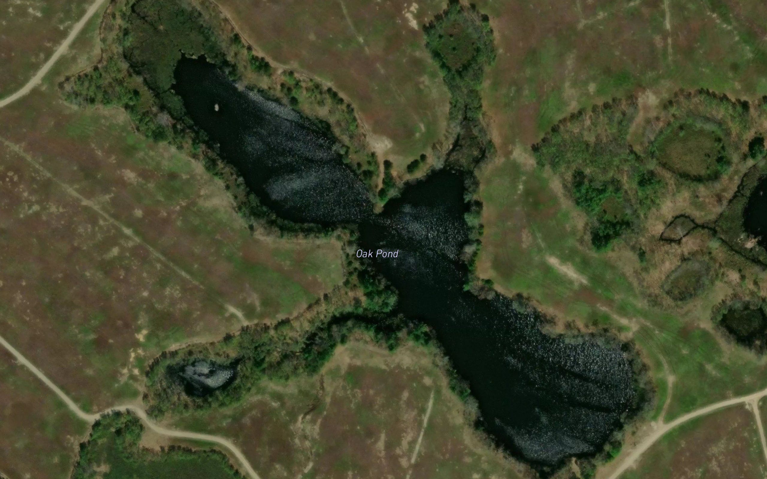 Oak Pond