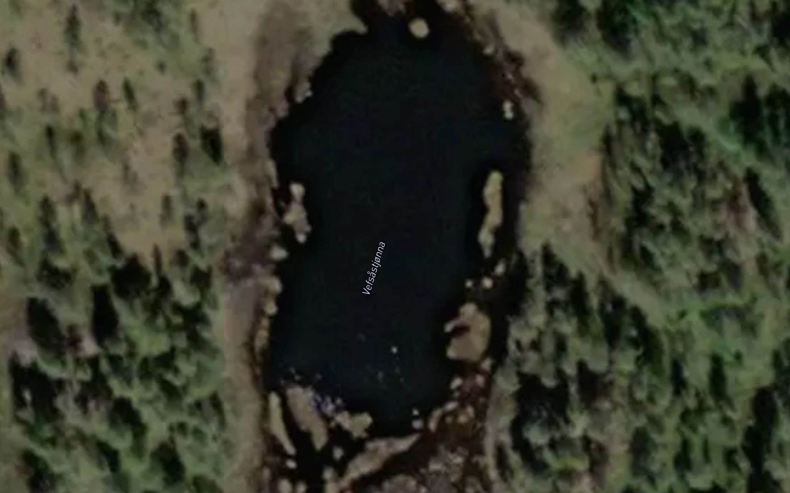 Vefsastjonna