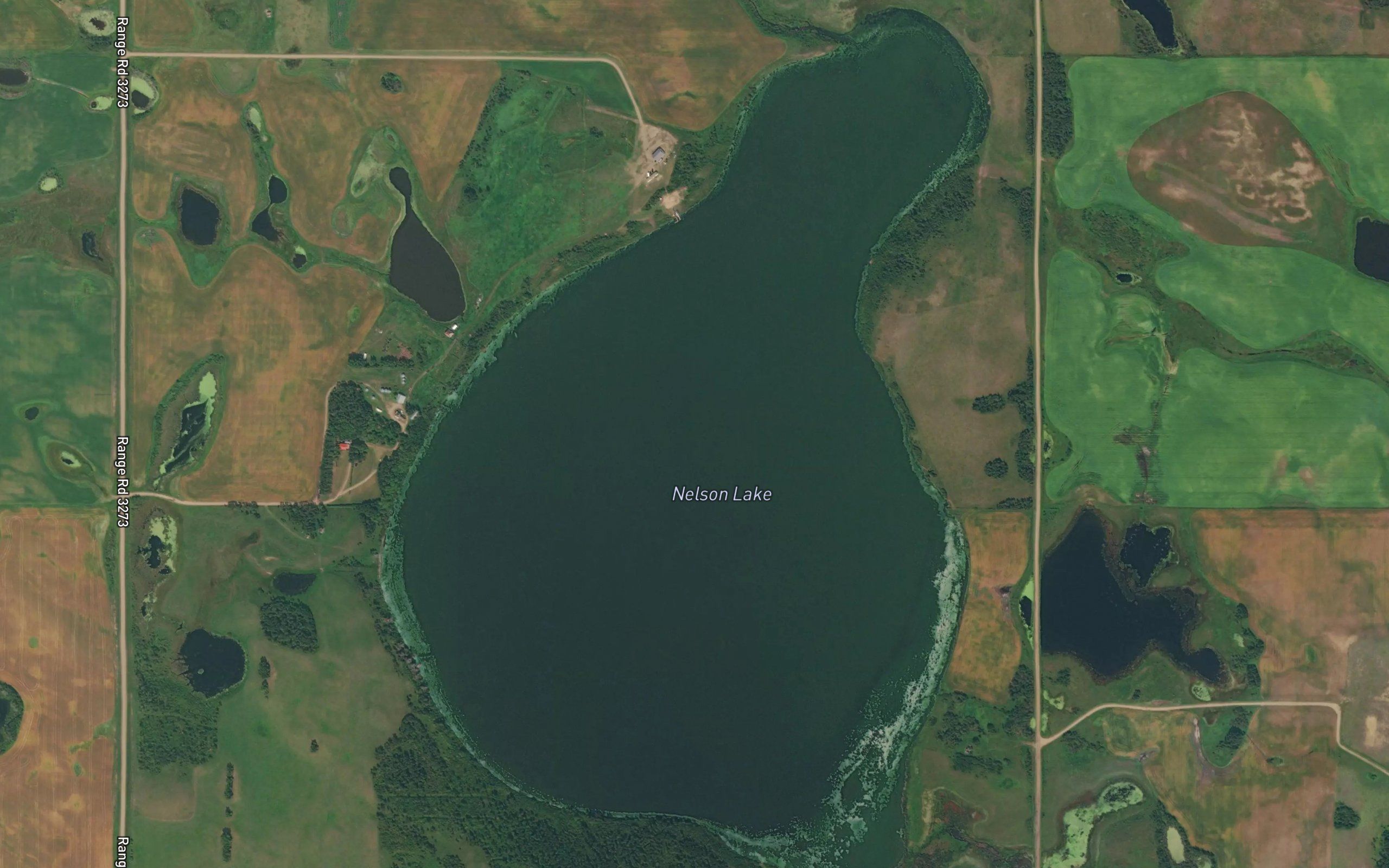 Nelson Lake