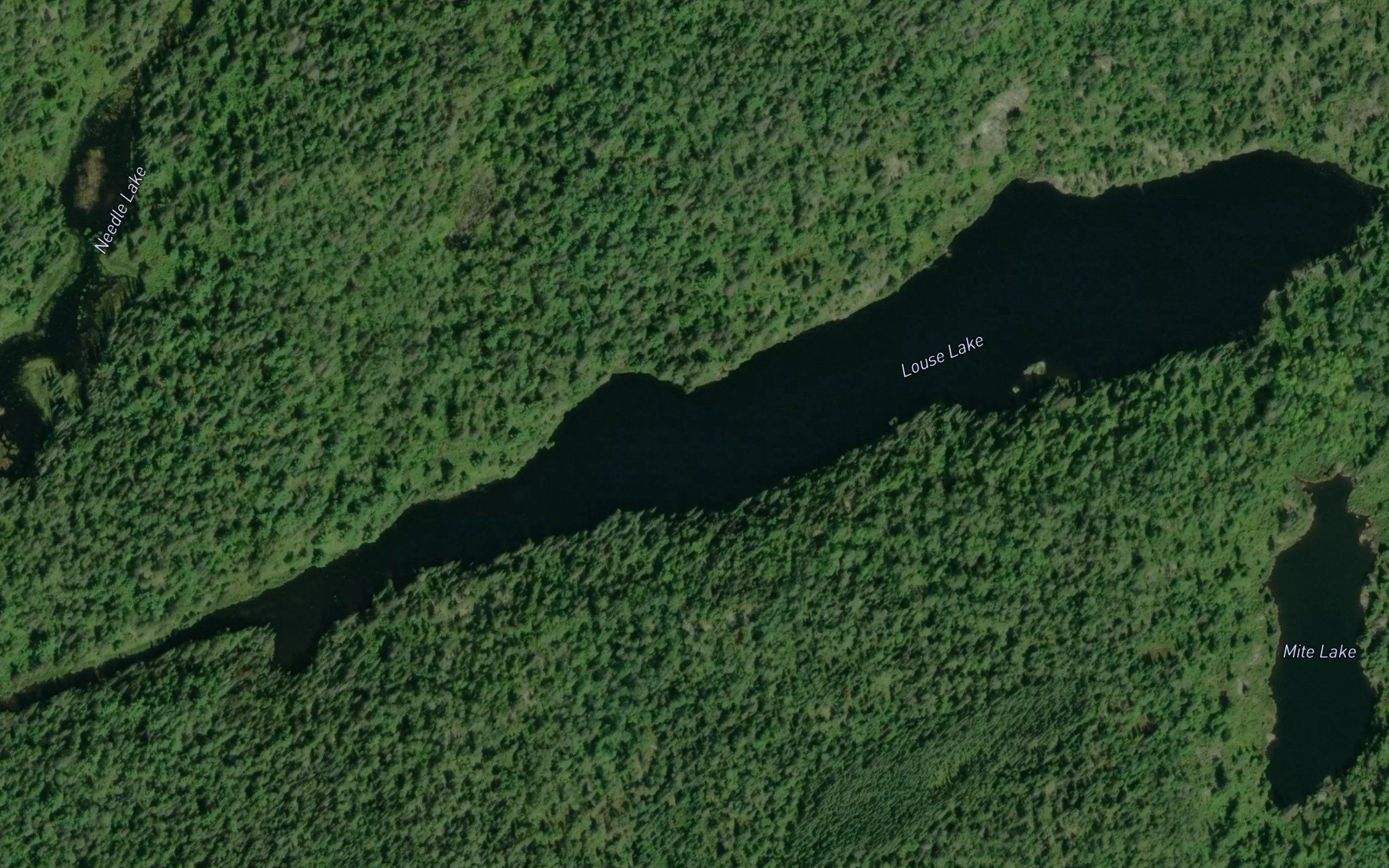 Louse Lake