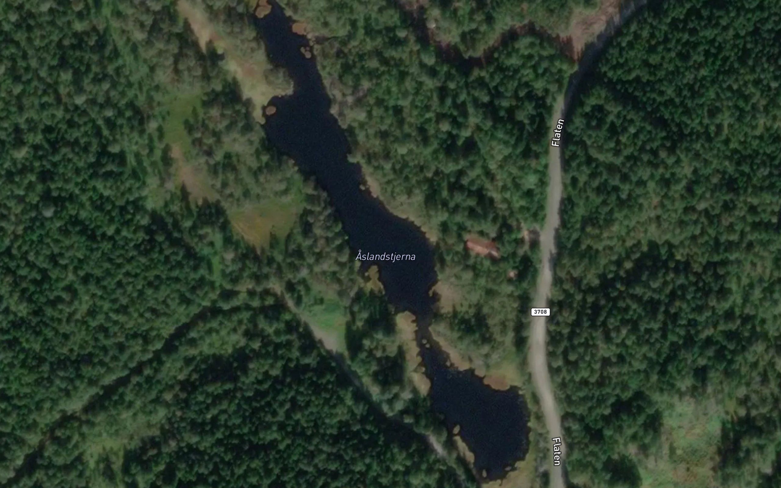 Aslandstjerna