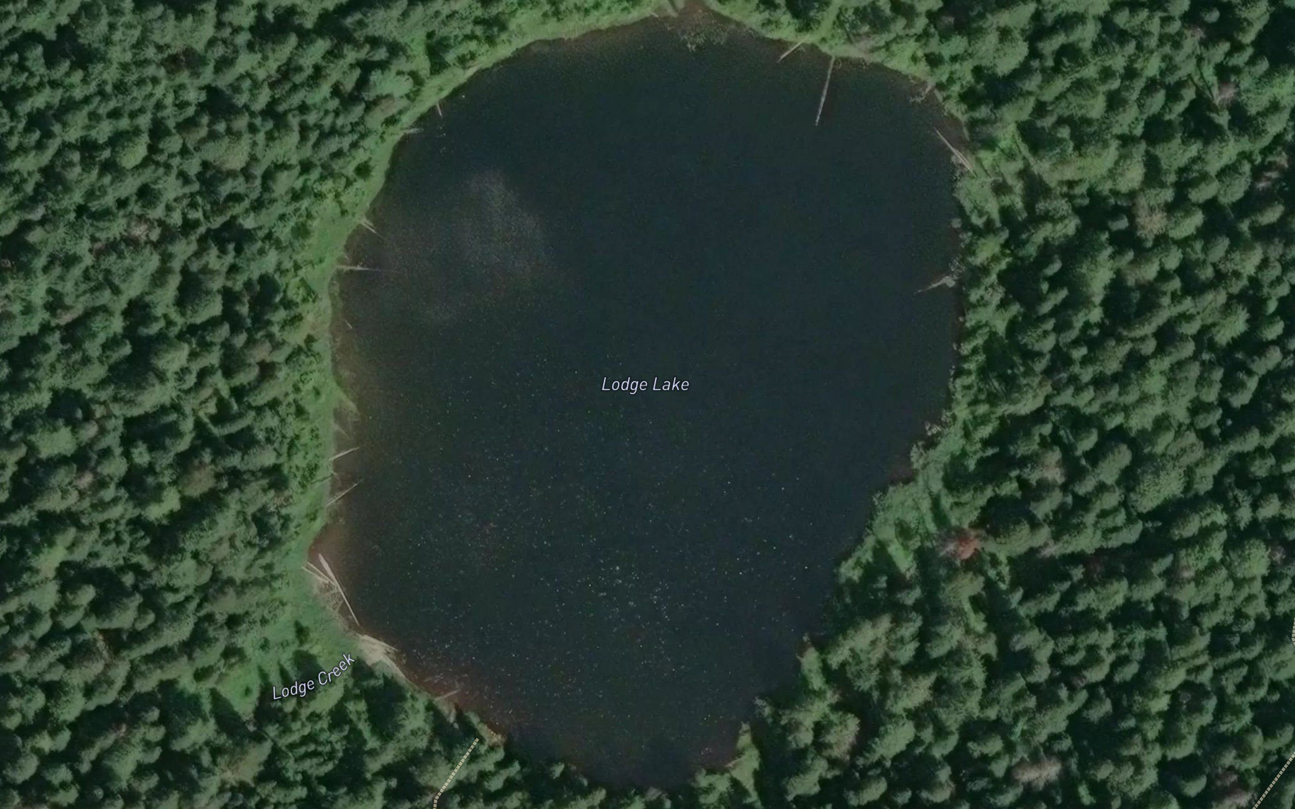 Lodge Lake