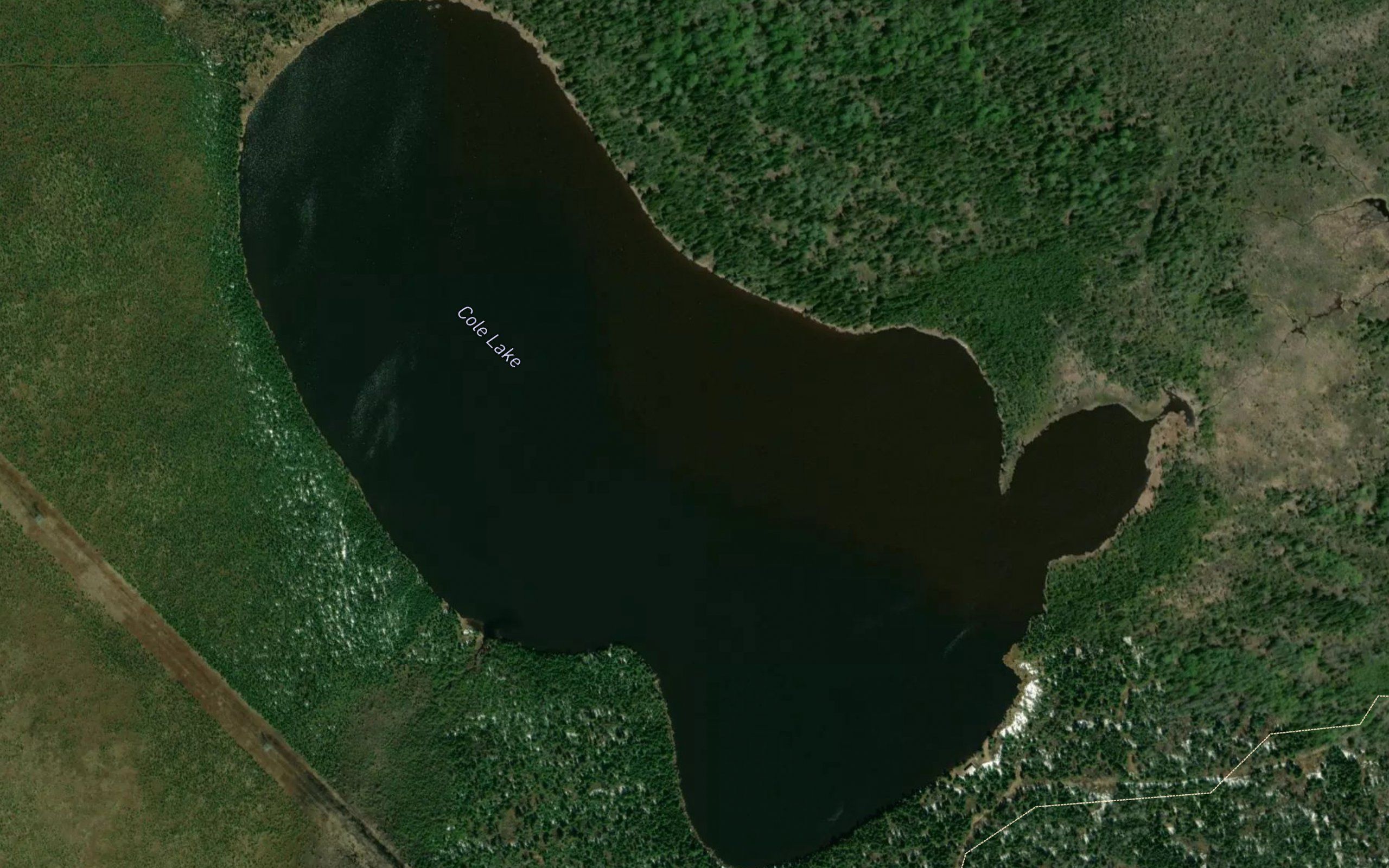 Cole Lake