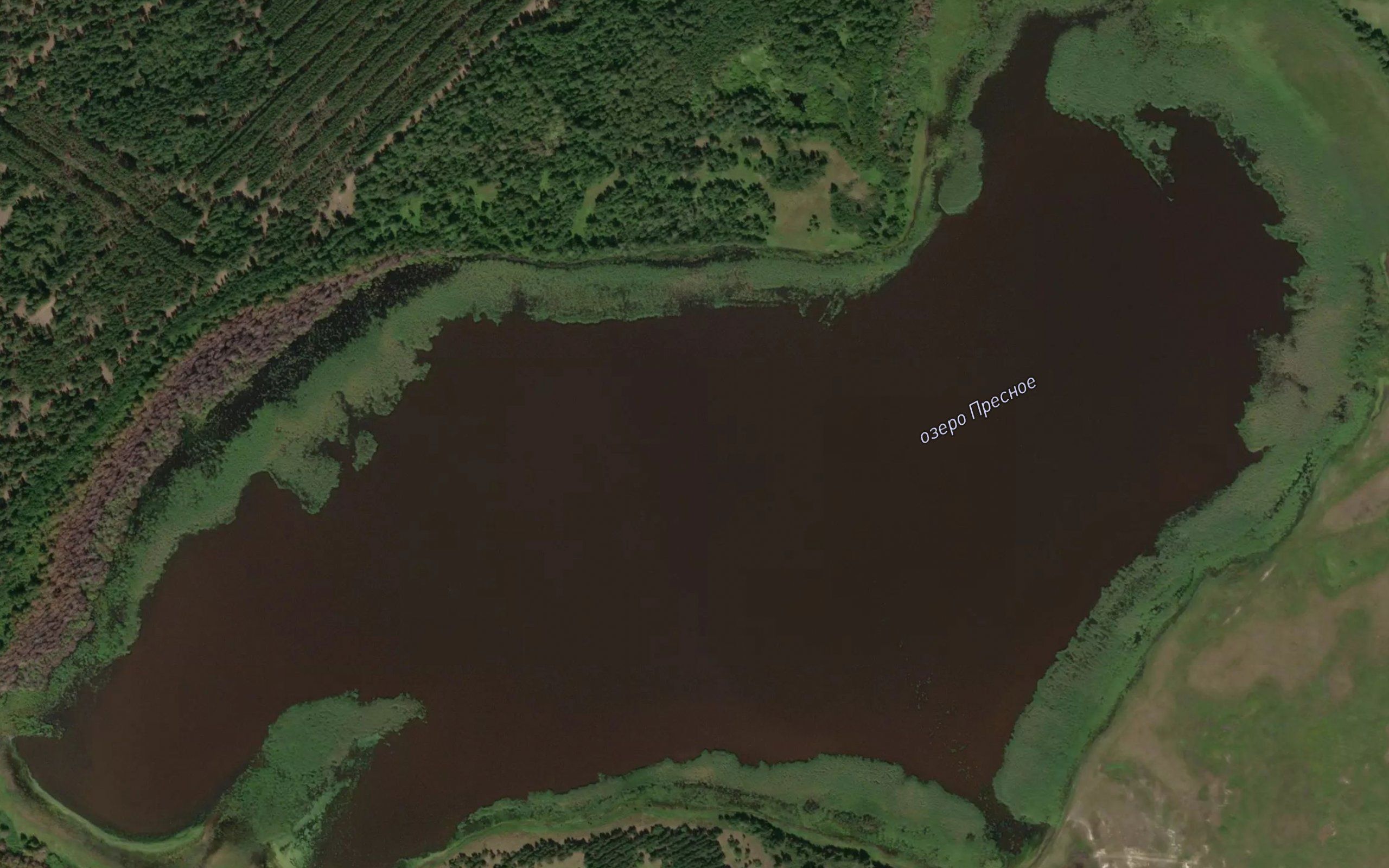 Ozero Presnoye