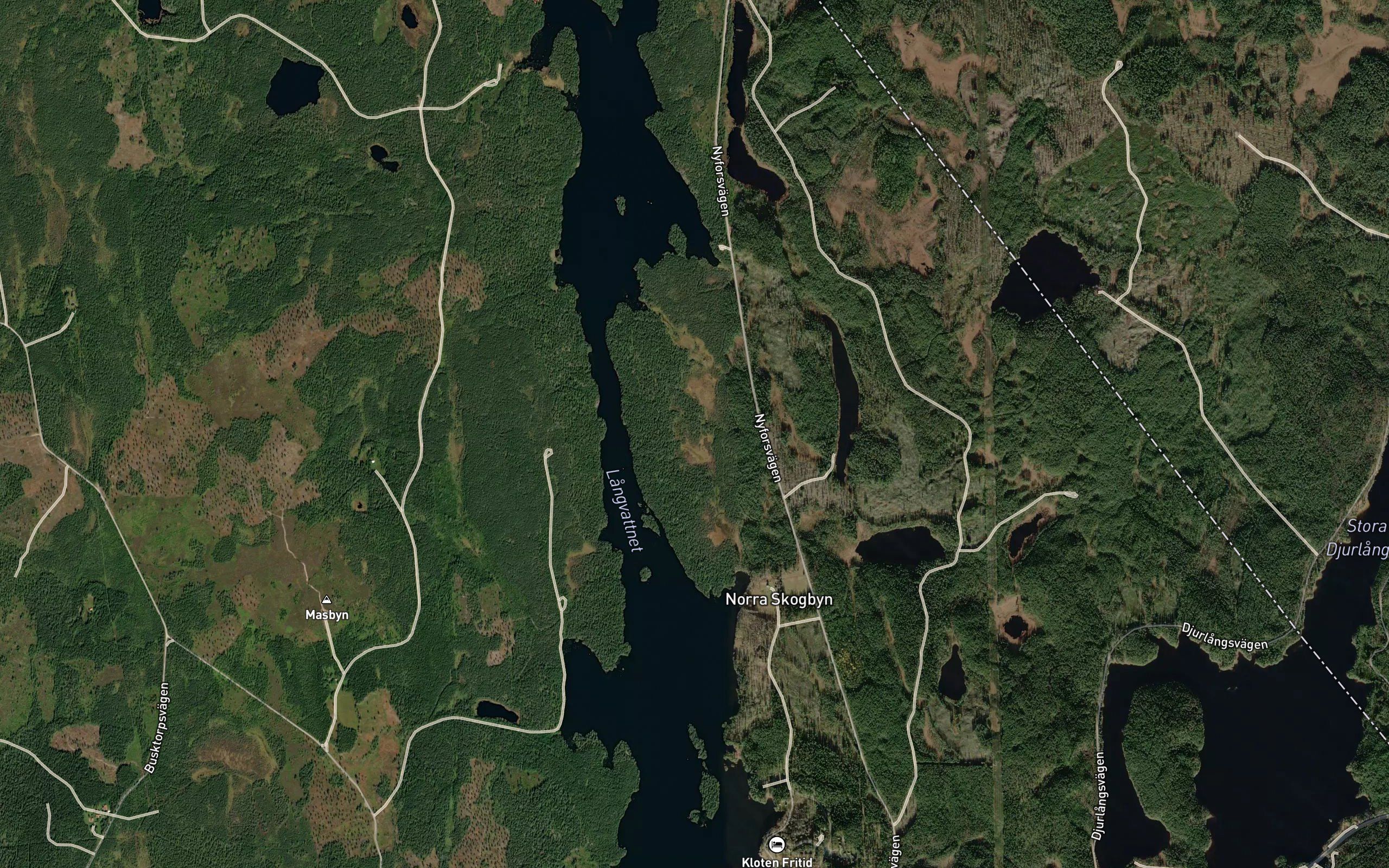 Langtjarn