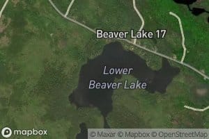 Lower Beaver Lake
