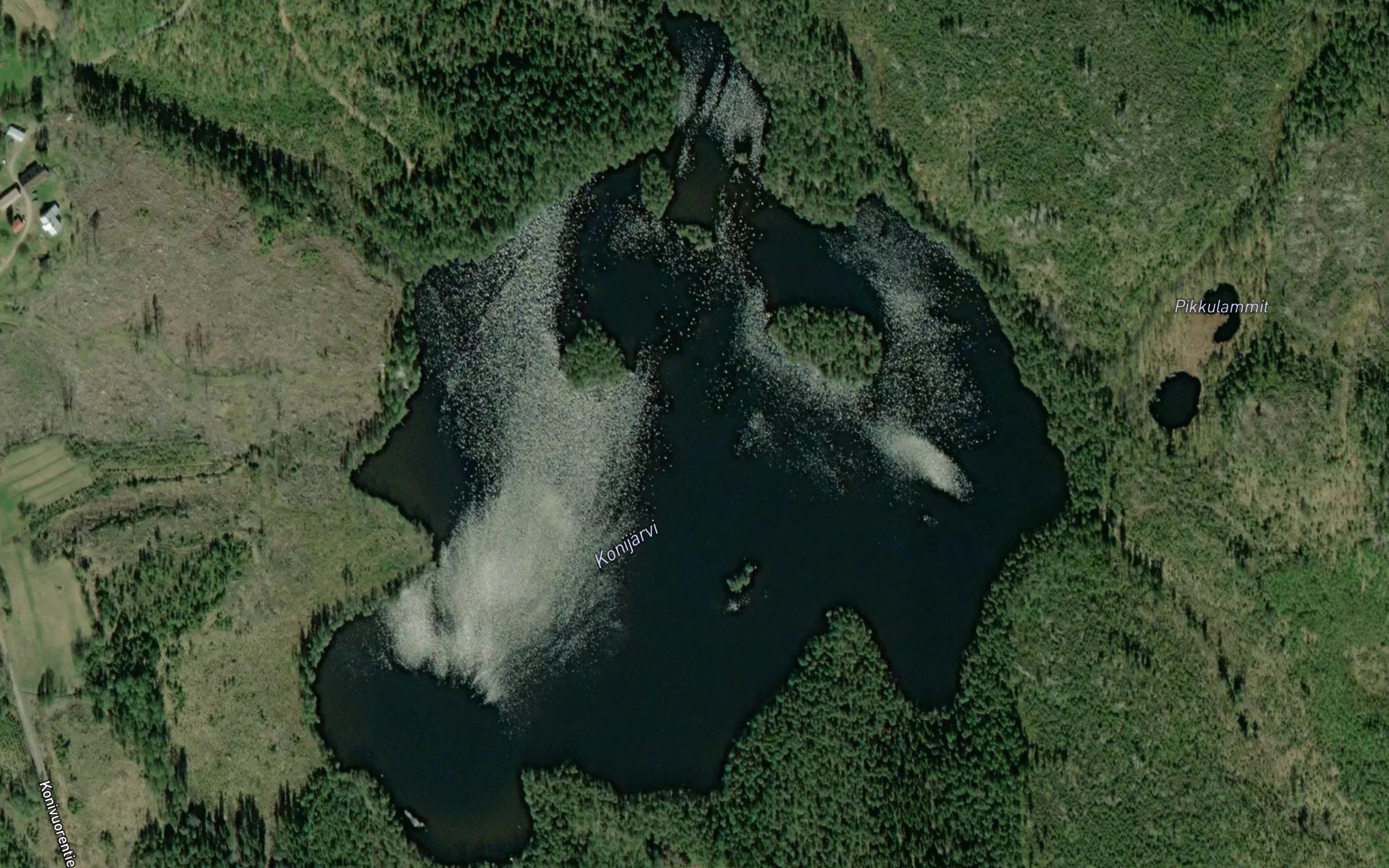 Konijarvi