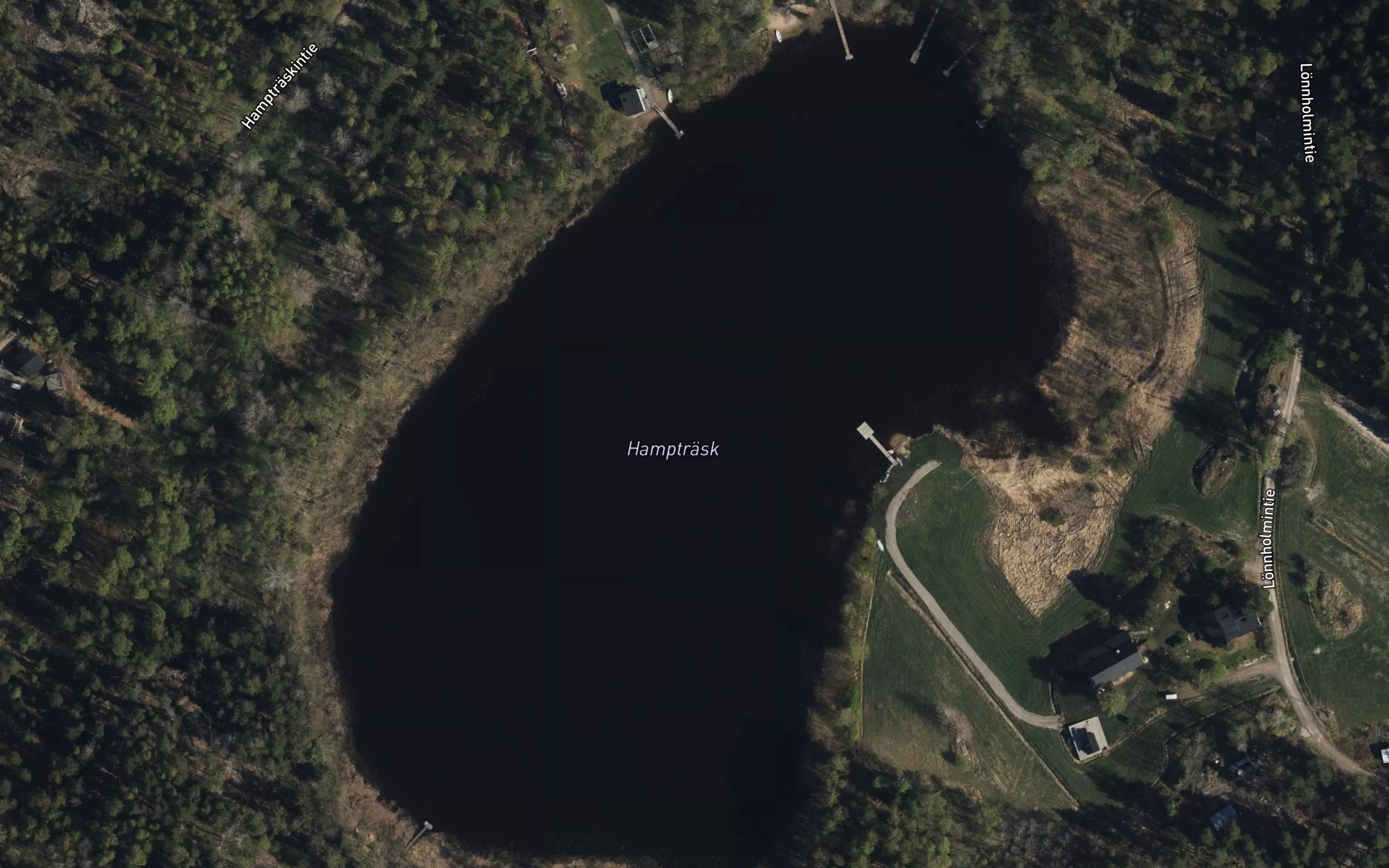 Hamptraesk