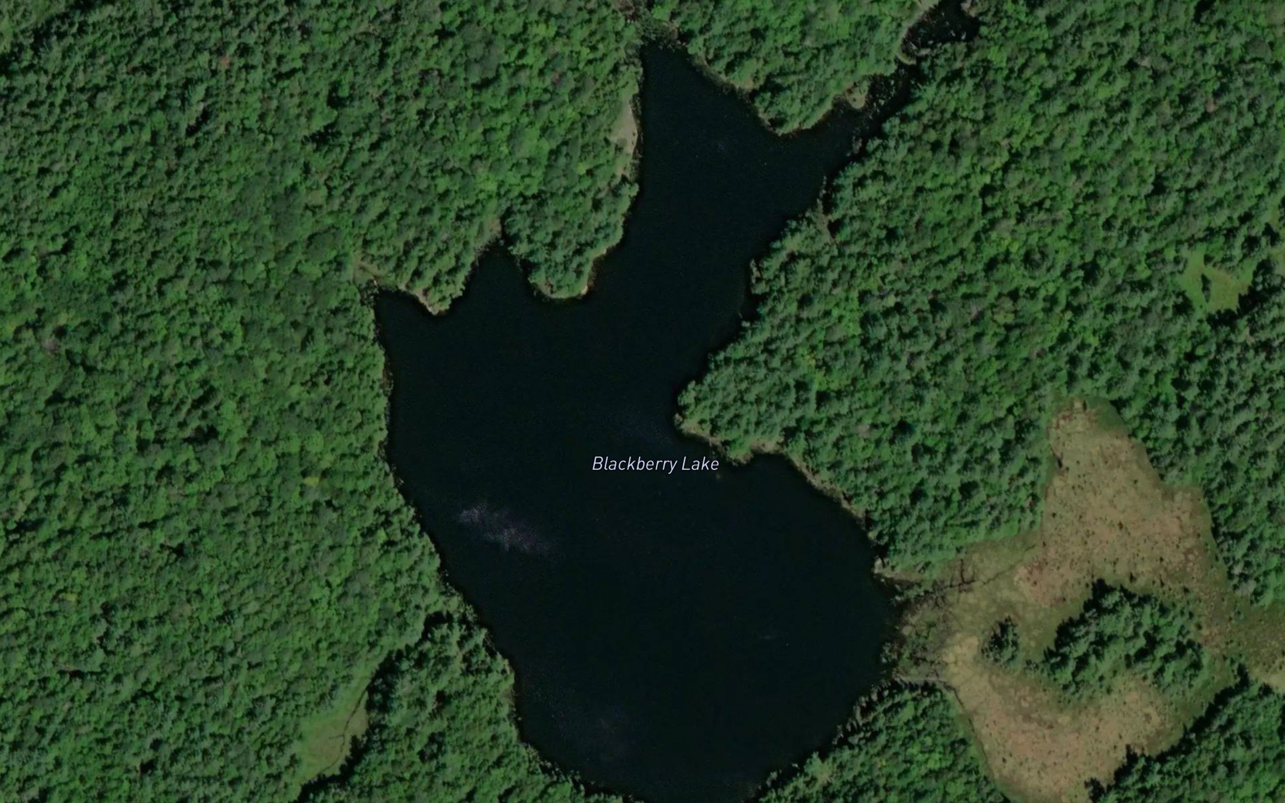Blackberry Lake
