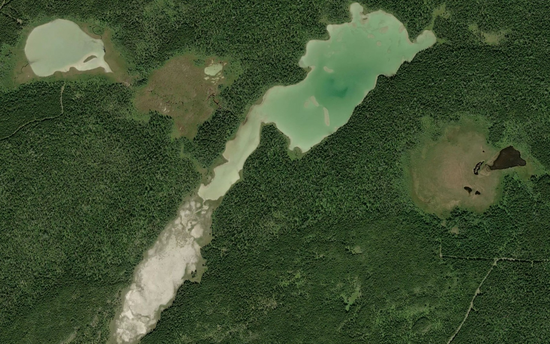 Satellite map of the Etang du Chasseur