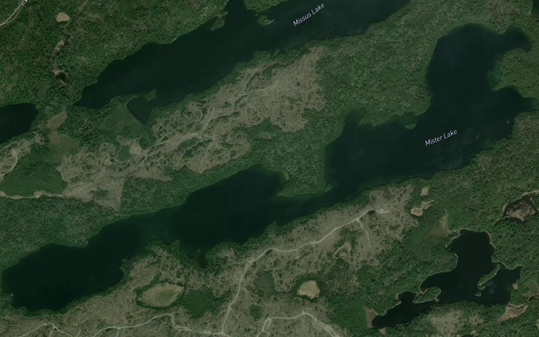 Satellite map of the Mister Lake