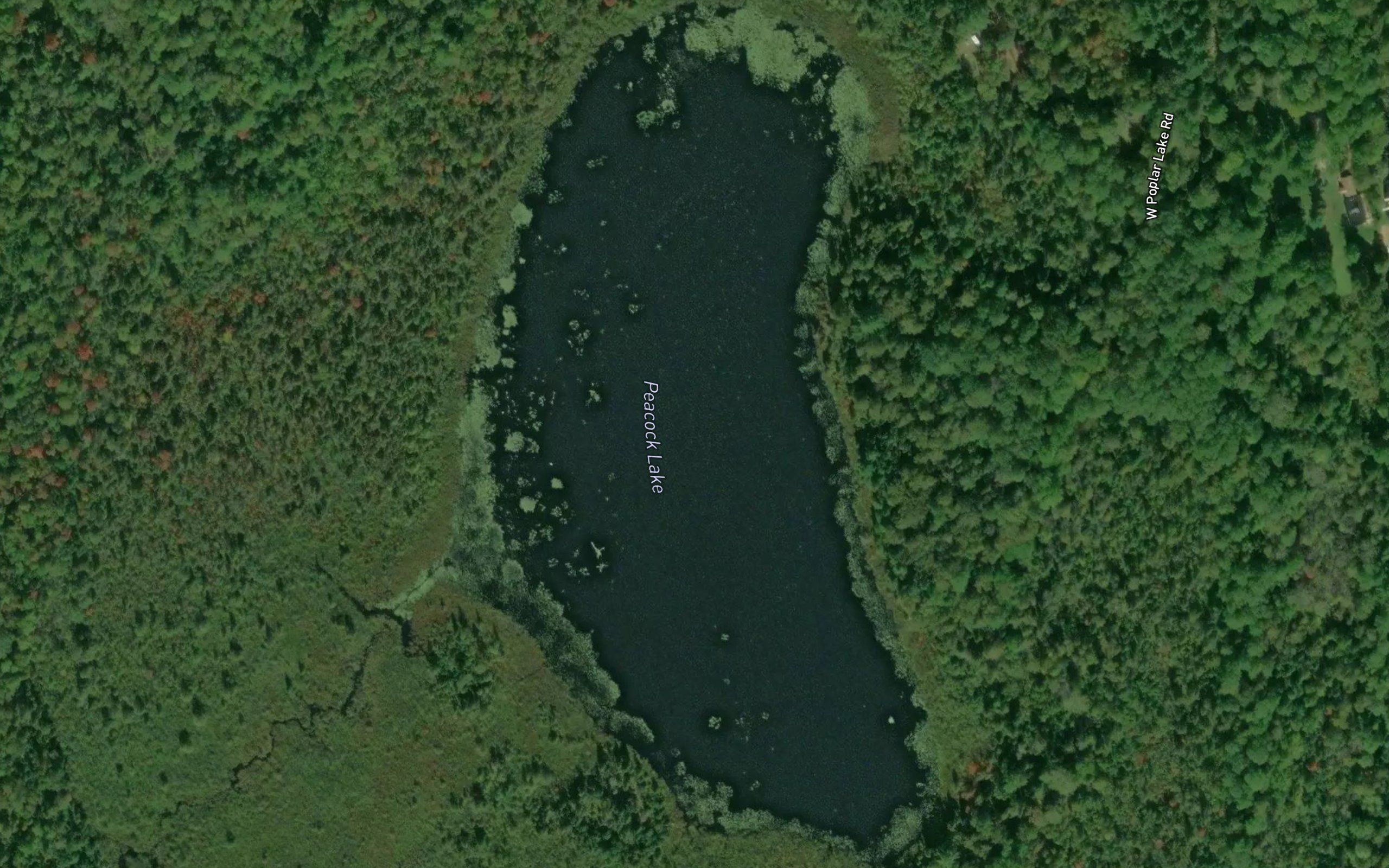 Peacock Lake