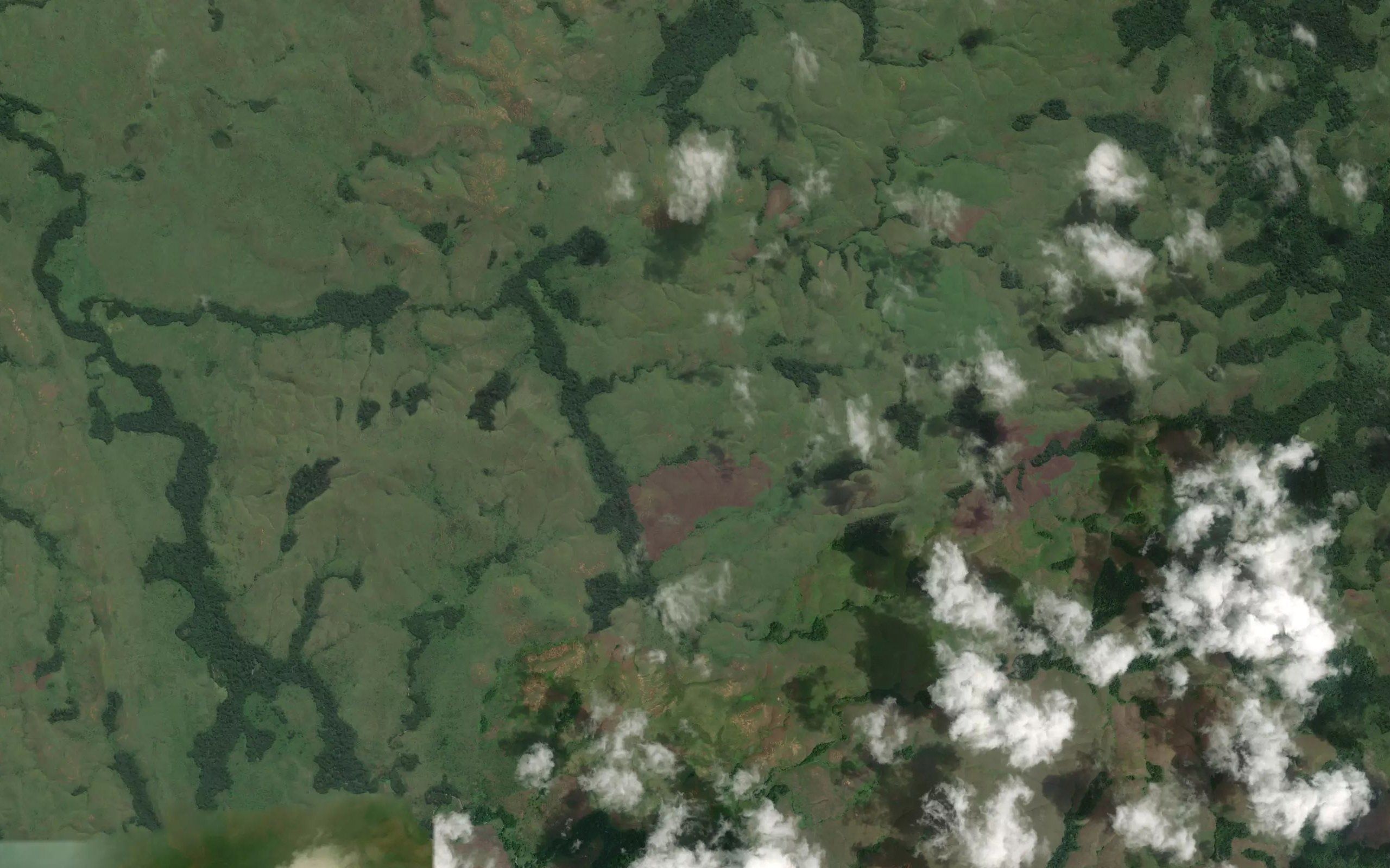 Mavuva