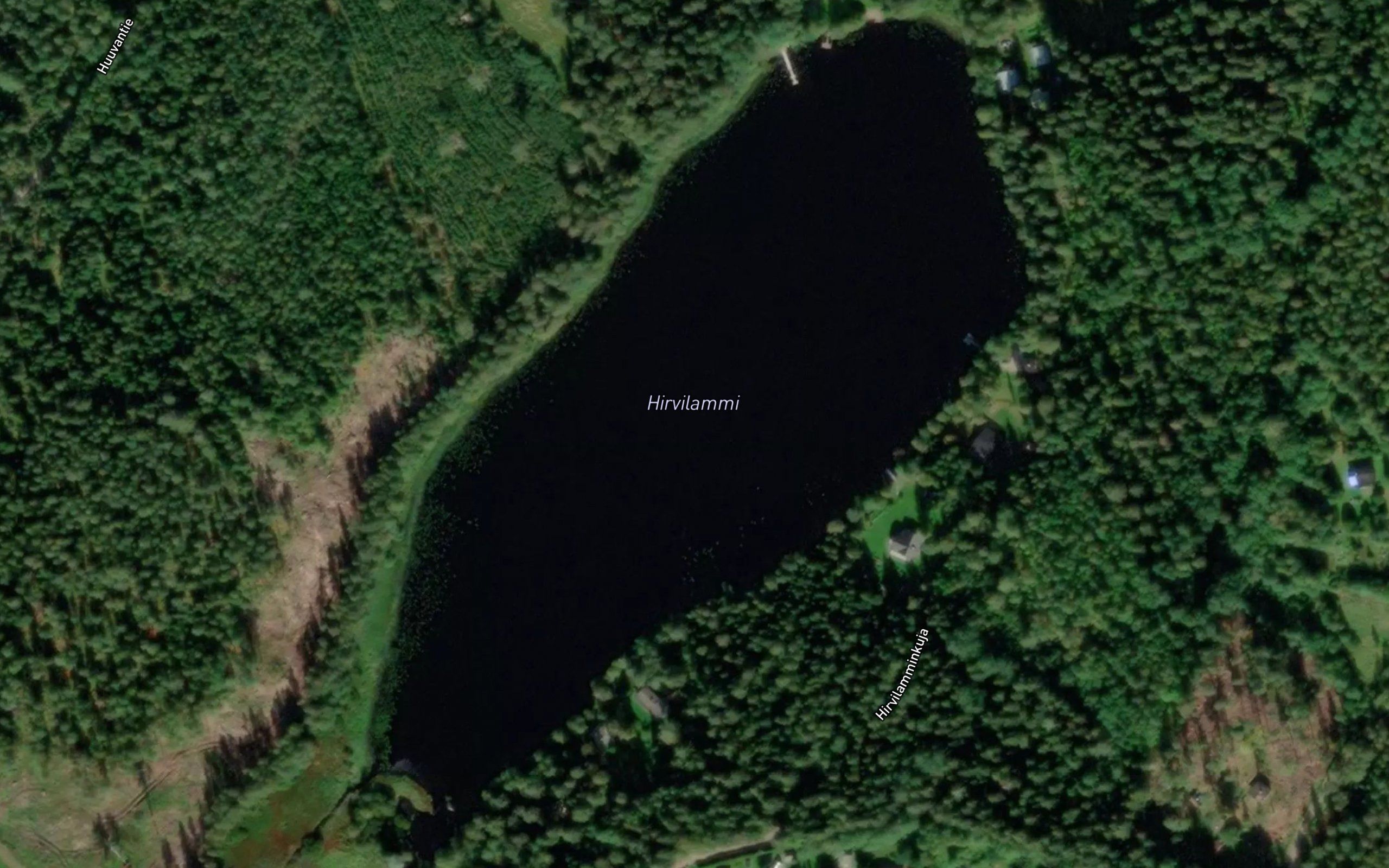 Hirvilammi