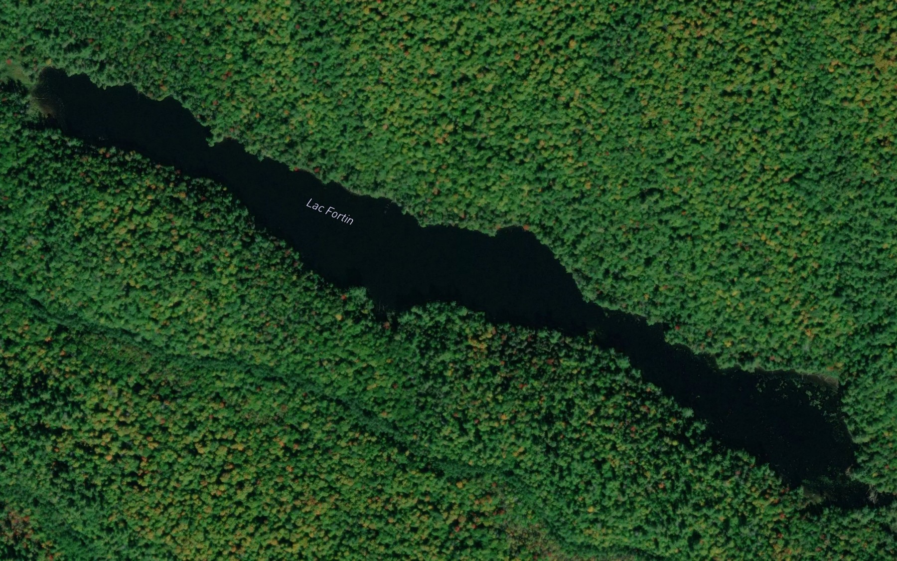 Satellite map of the Lac Fortin