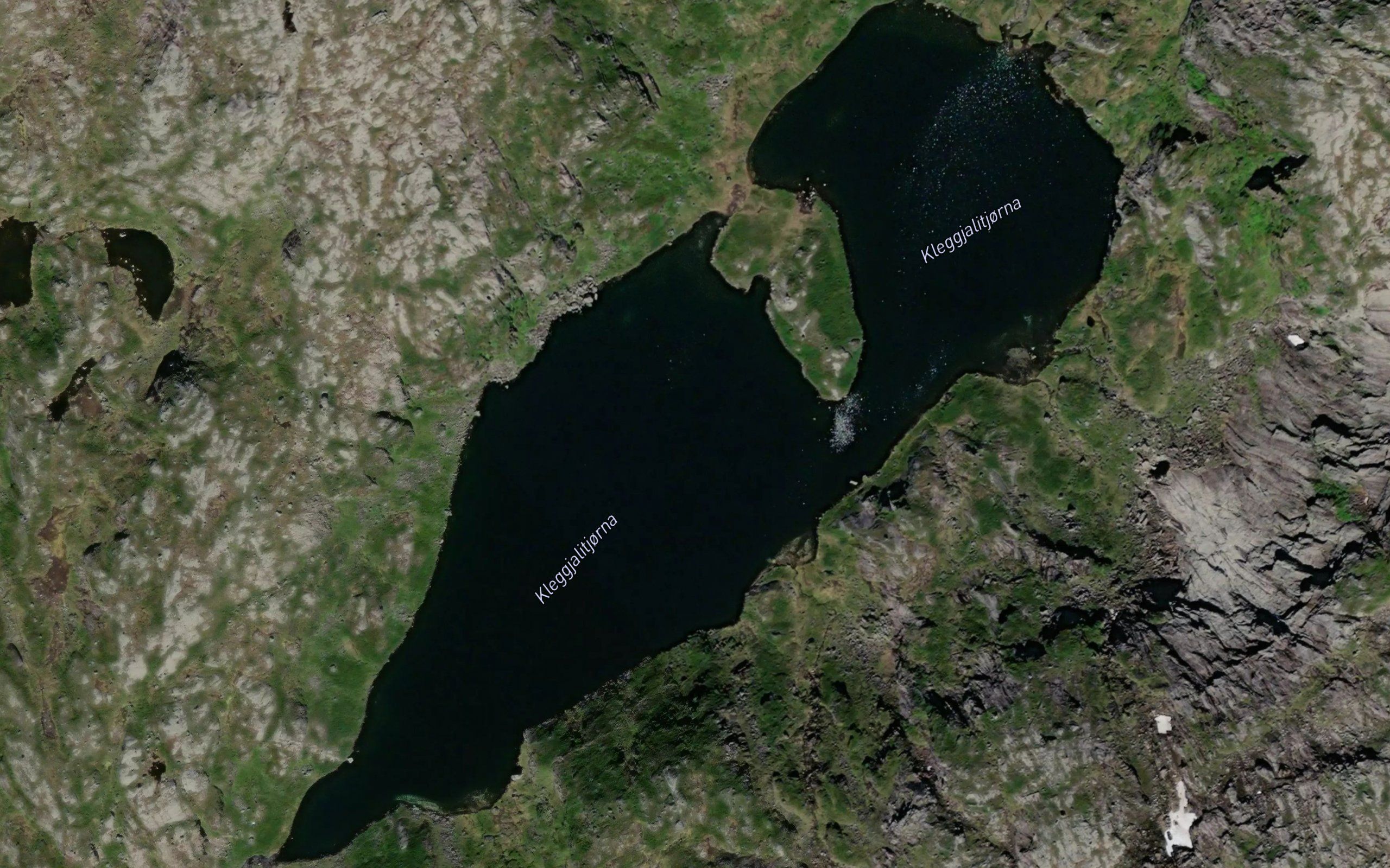 Kleggjalitjorna