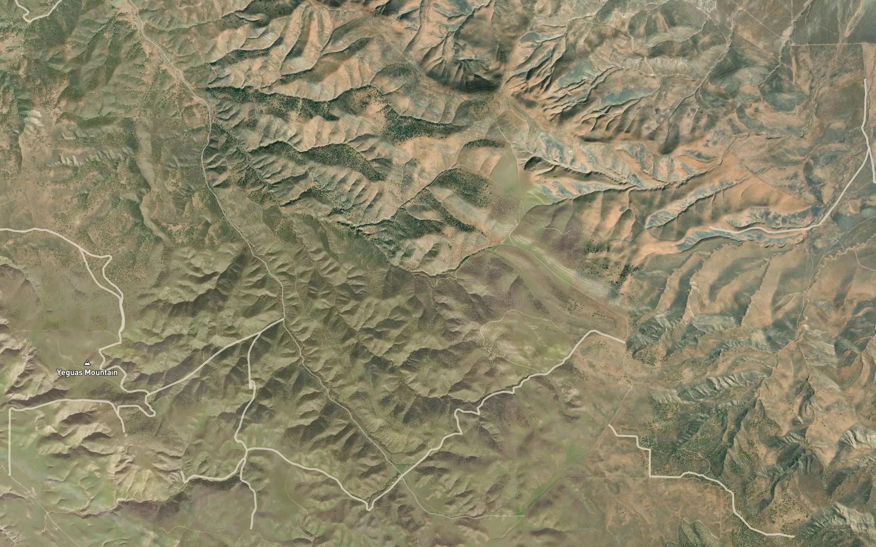 Satellite map of the Napoleon Spring