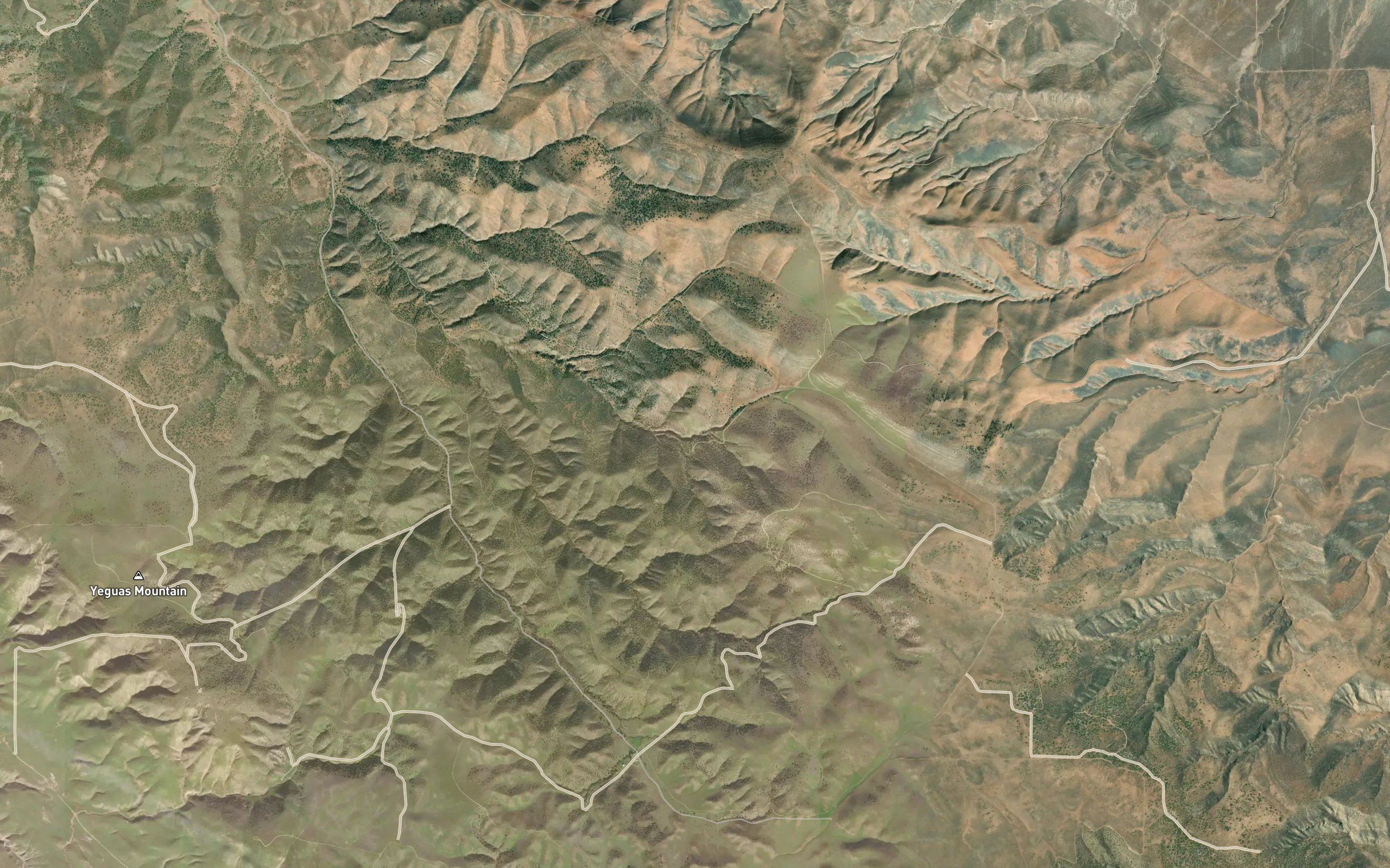 Napoleon Spring