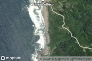 Estero Pelluco