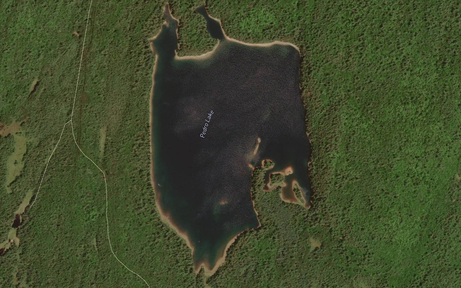 Satellite map of the Pedro Lake