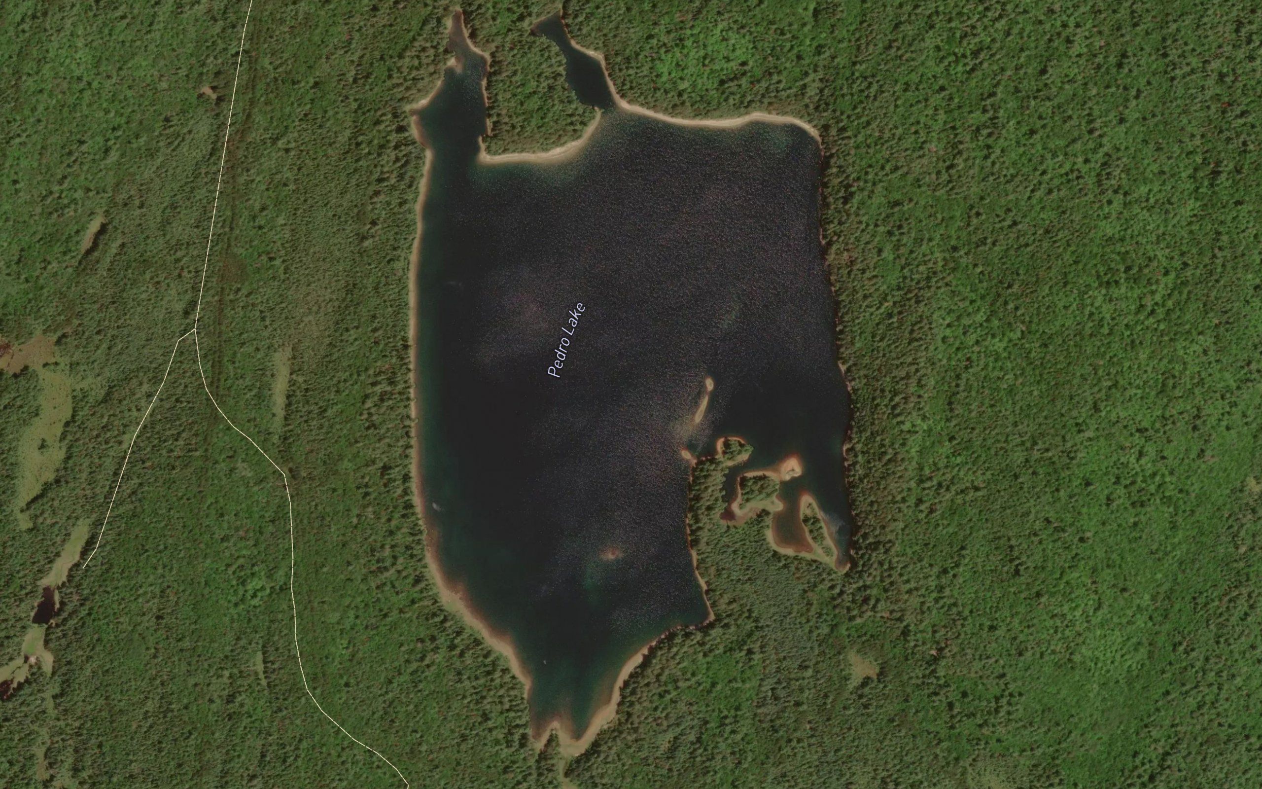 Pedro Lake