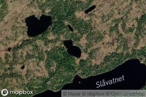 Svarttjonna