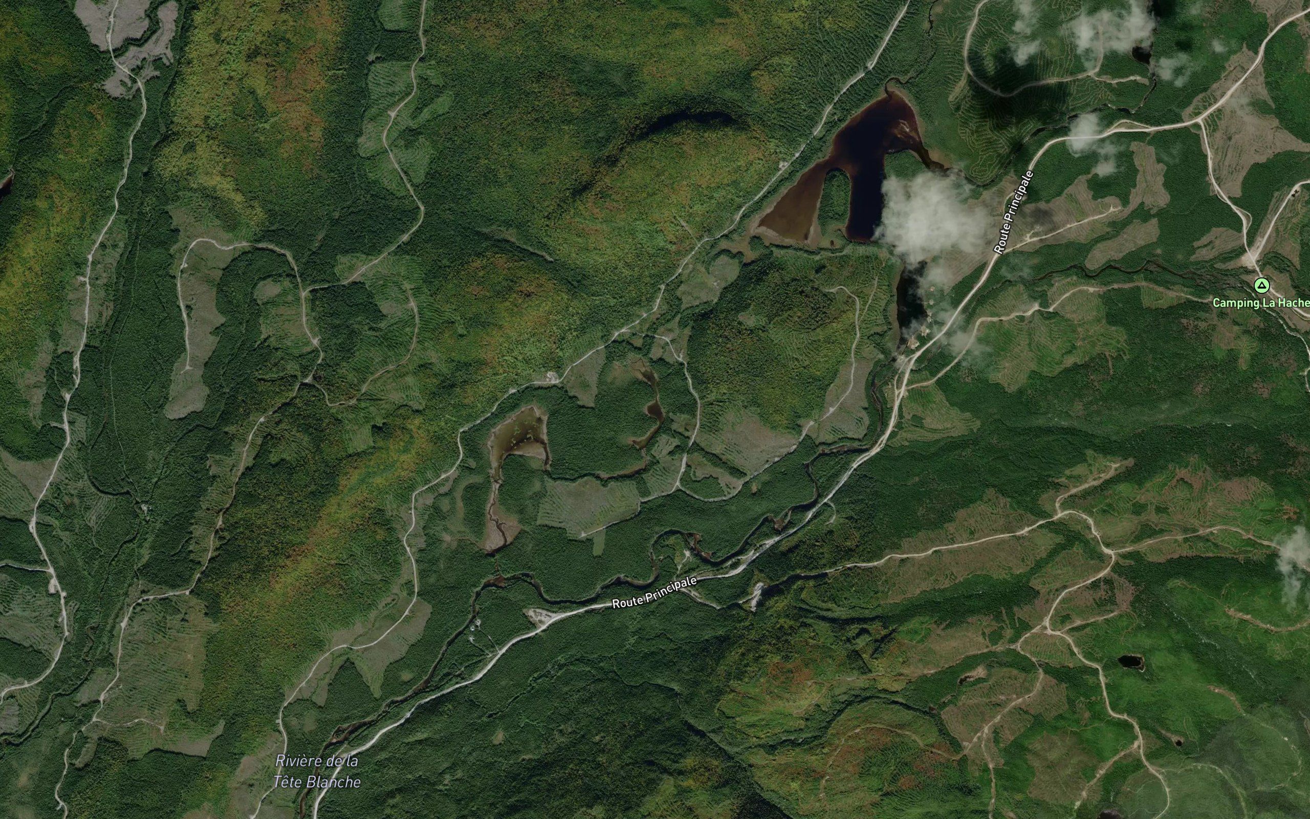 Lac de la Savane