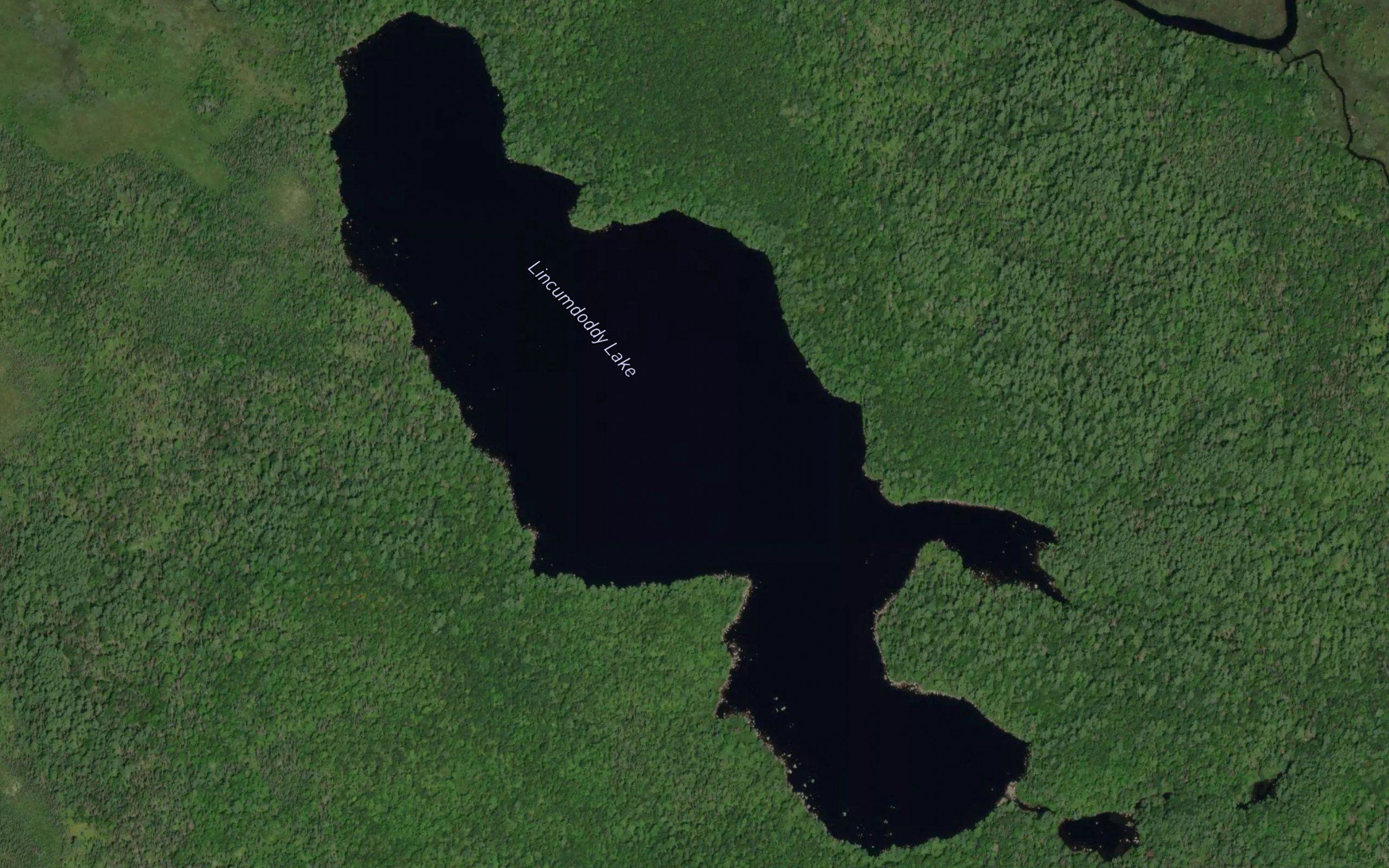 Lincumdoddy Lake