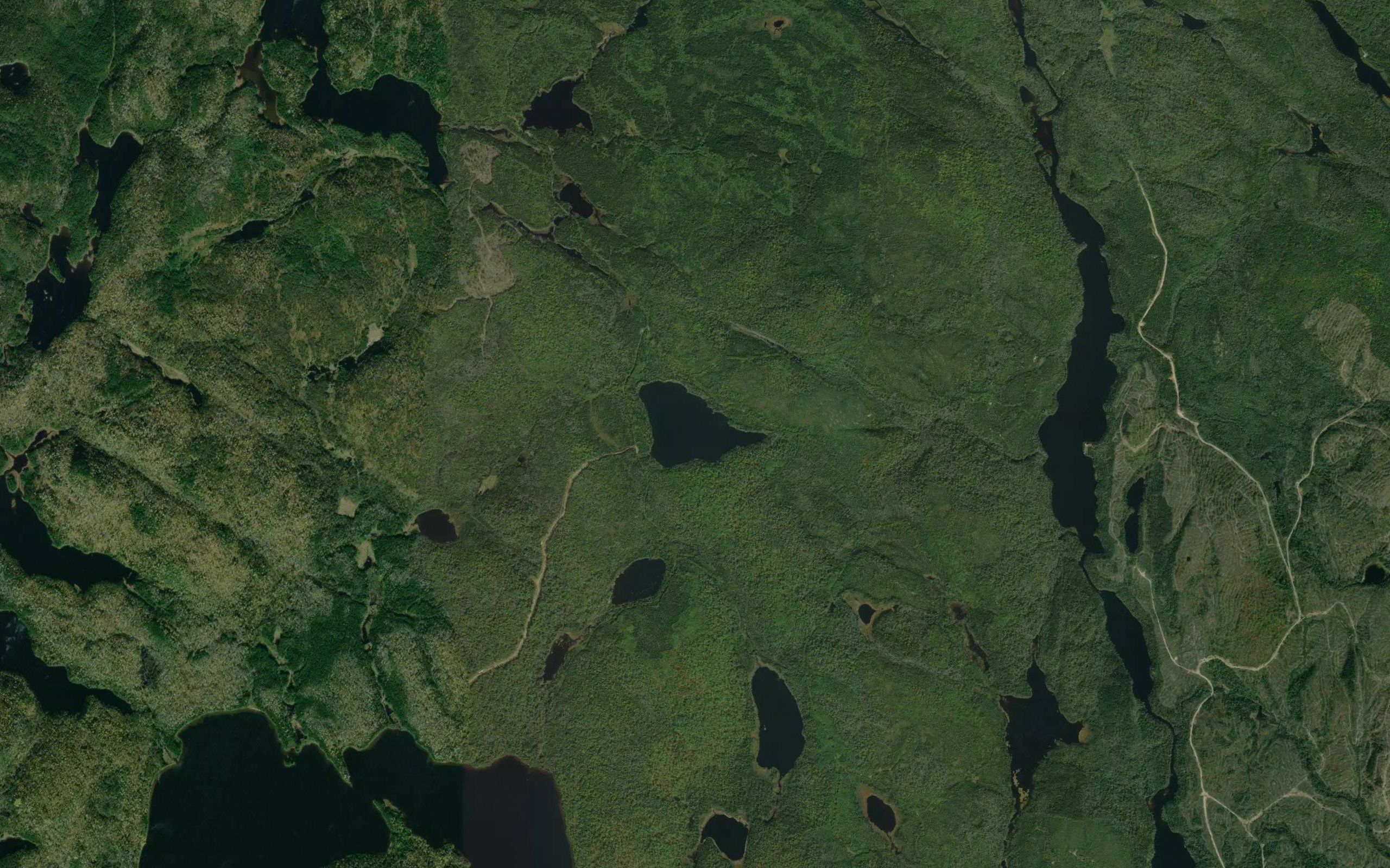 Lac Brule