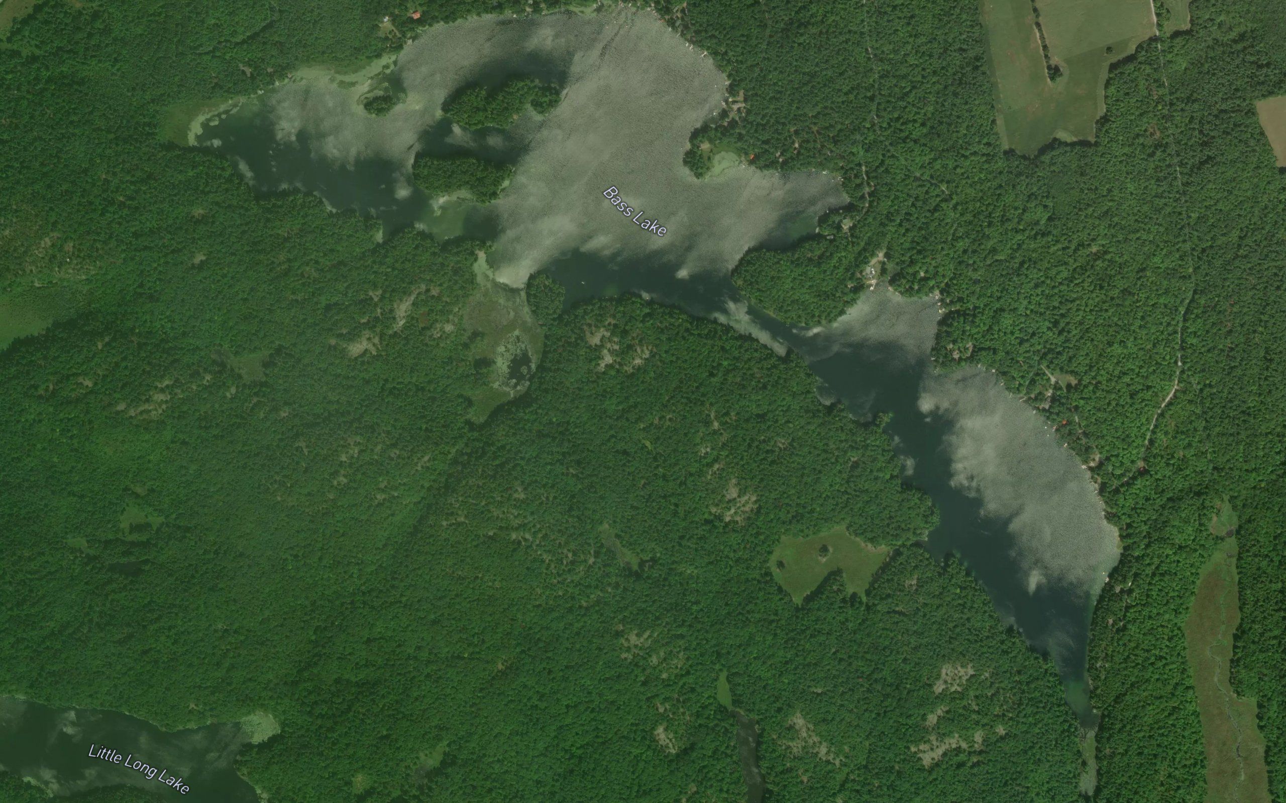 Bass Lake