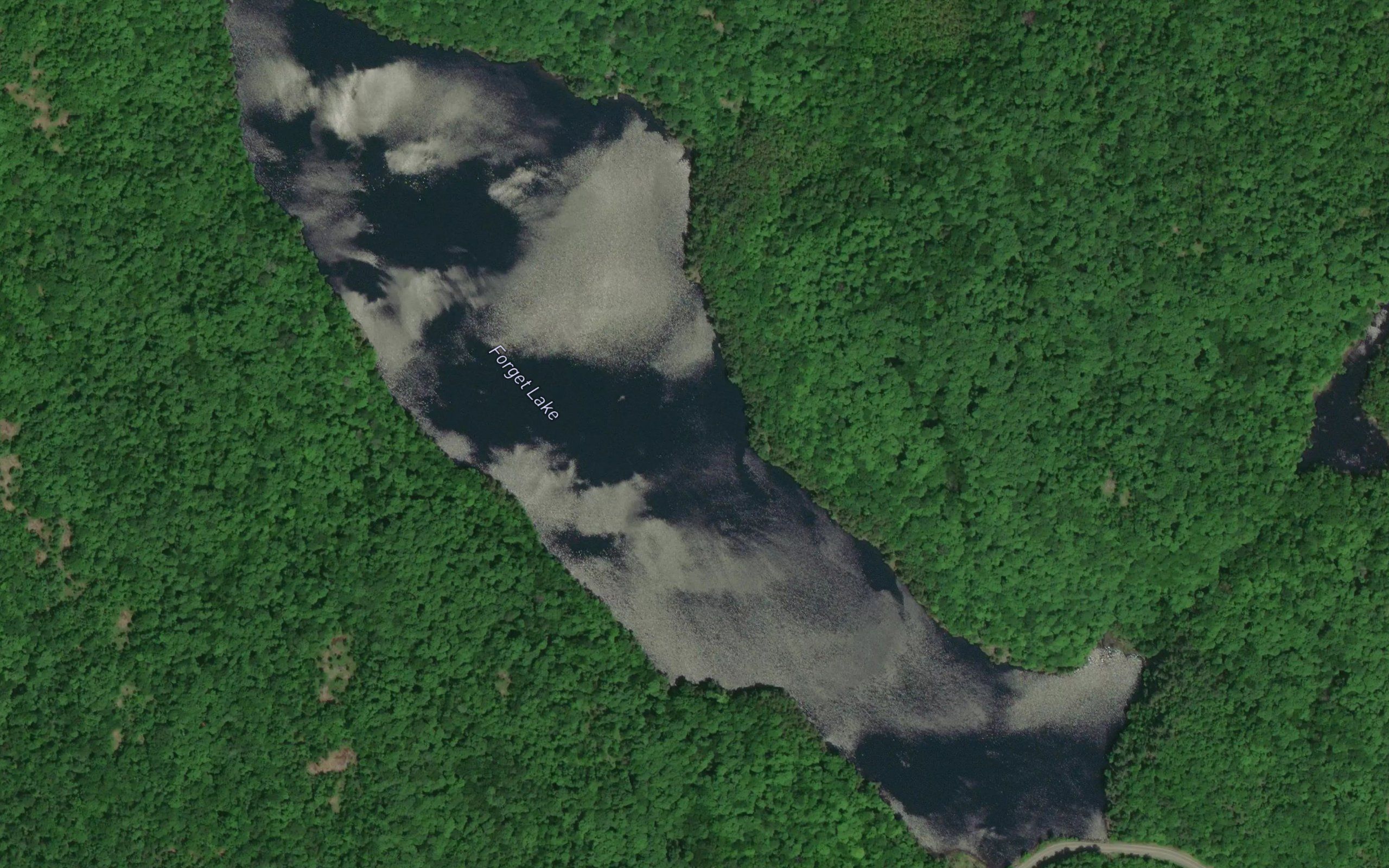 Forget Lake