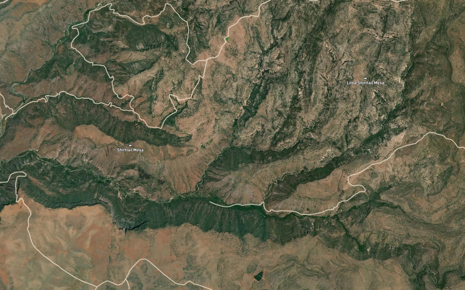 Satellite map of the Little Cypress Creek