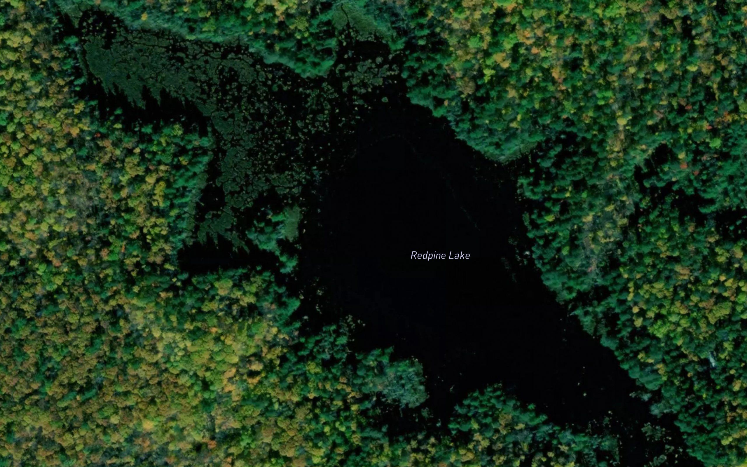 Redpine Lake