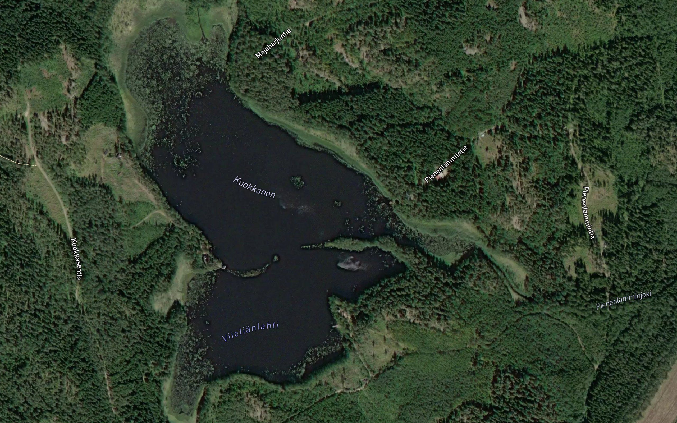 Kuokkanen