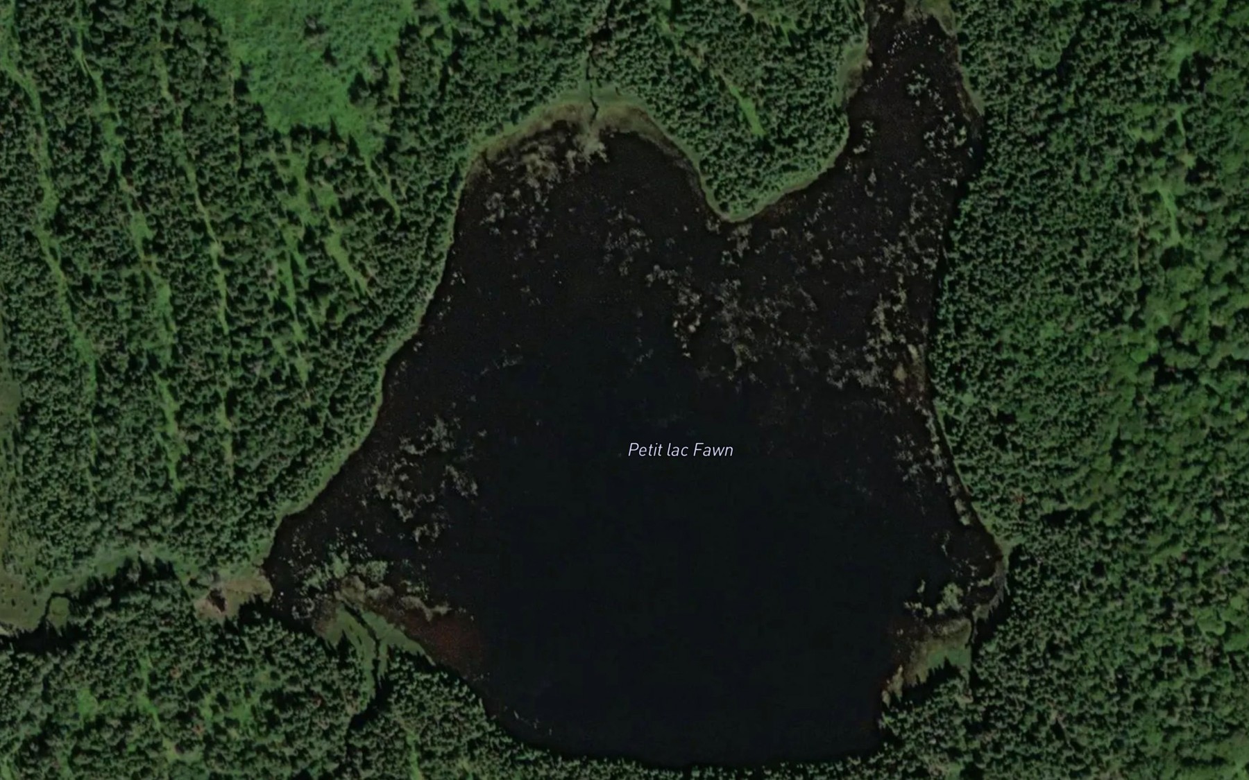 Satellite map of the Petit lac Fawn