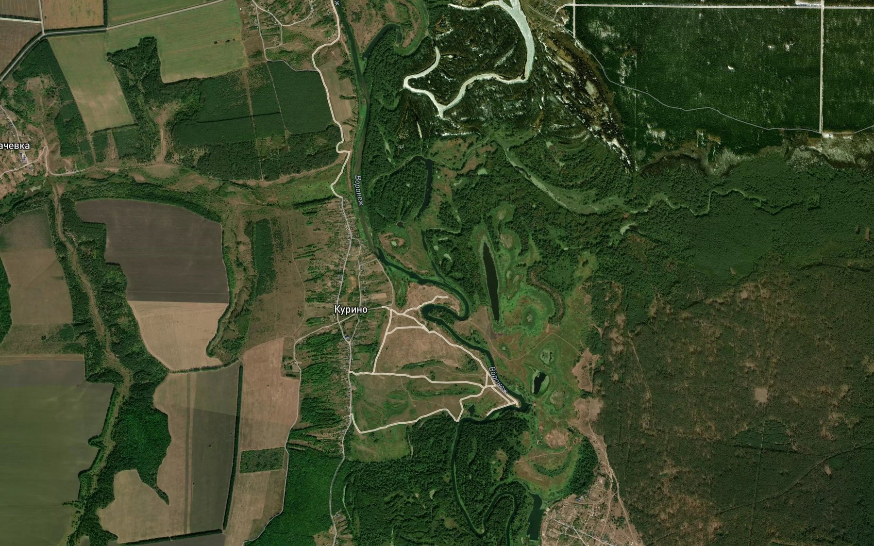 Satellite map of the Borovitsa