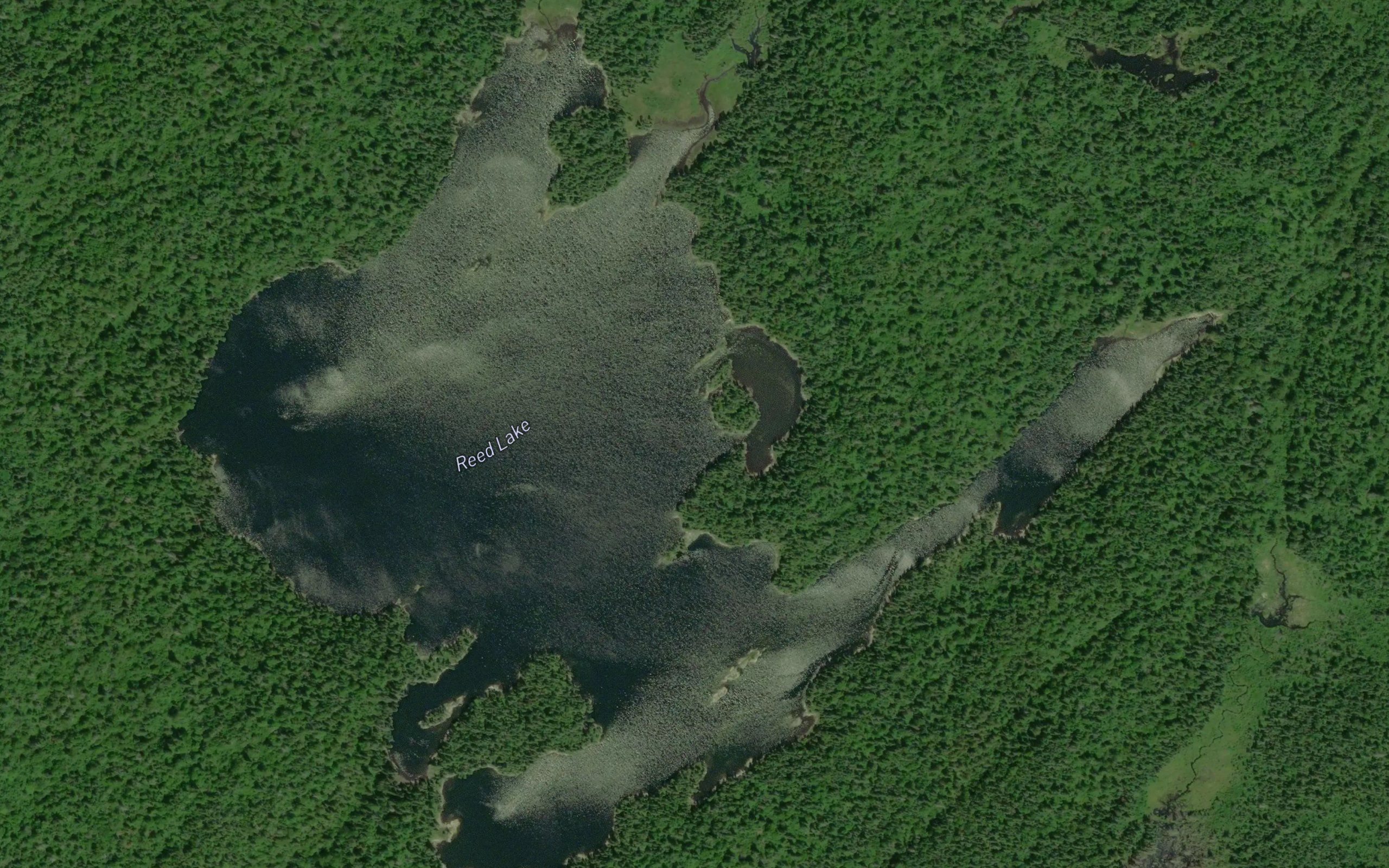 Reed Lake