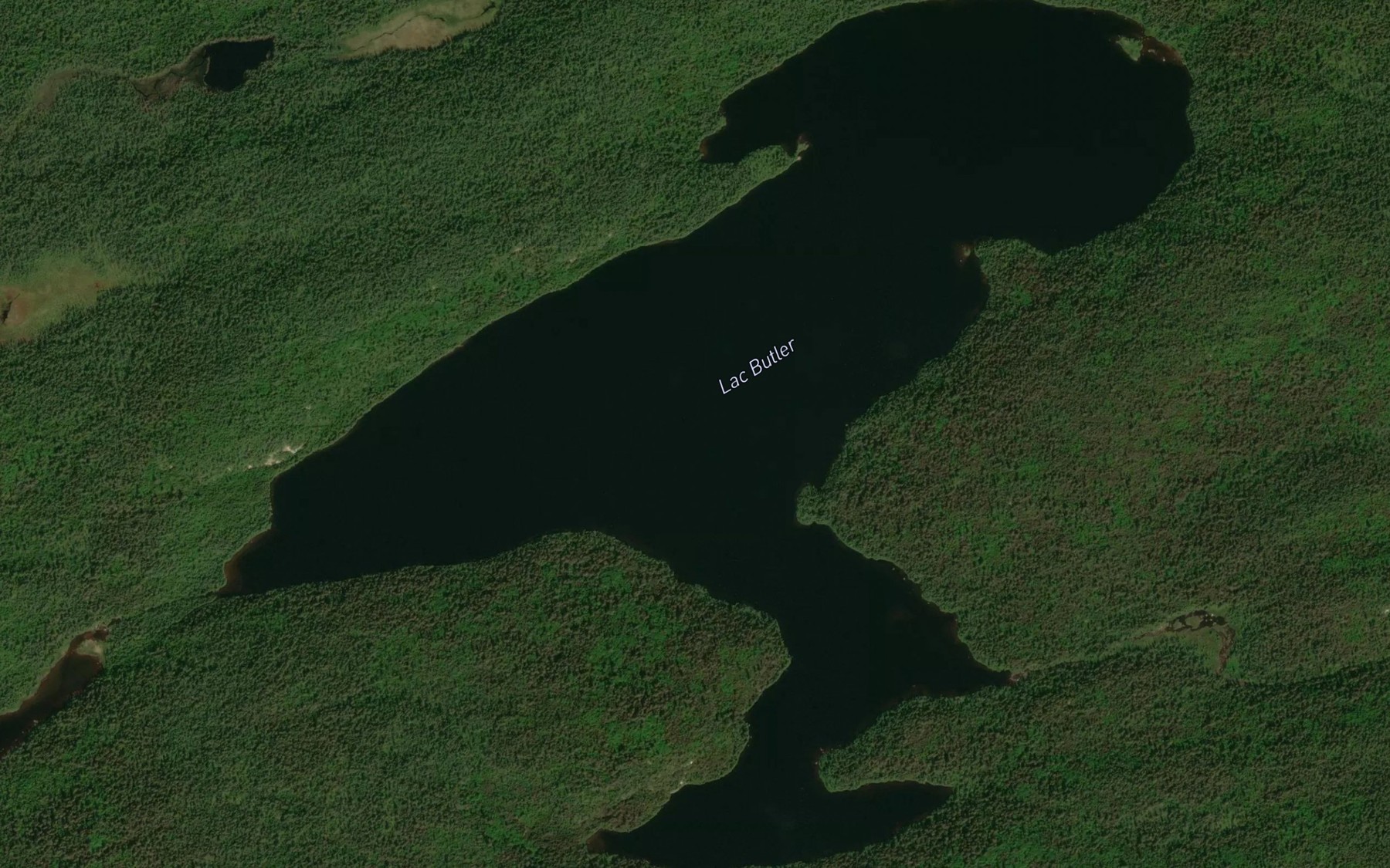 Satellite map of the Lac Butler