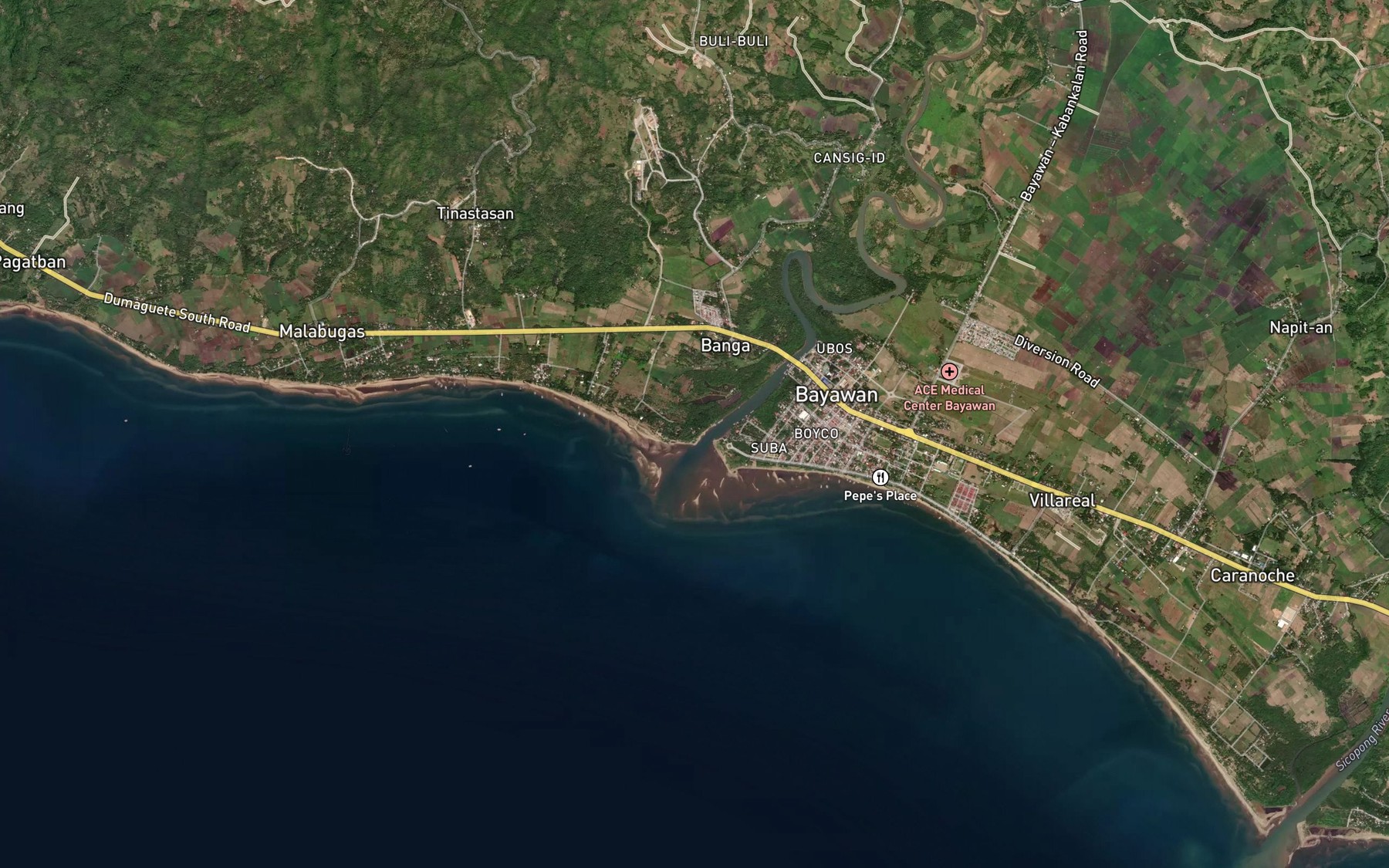 Satellite map of the Bayawan River