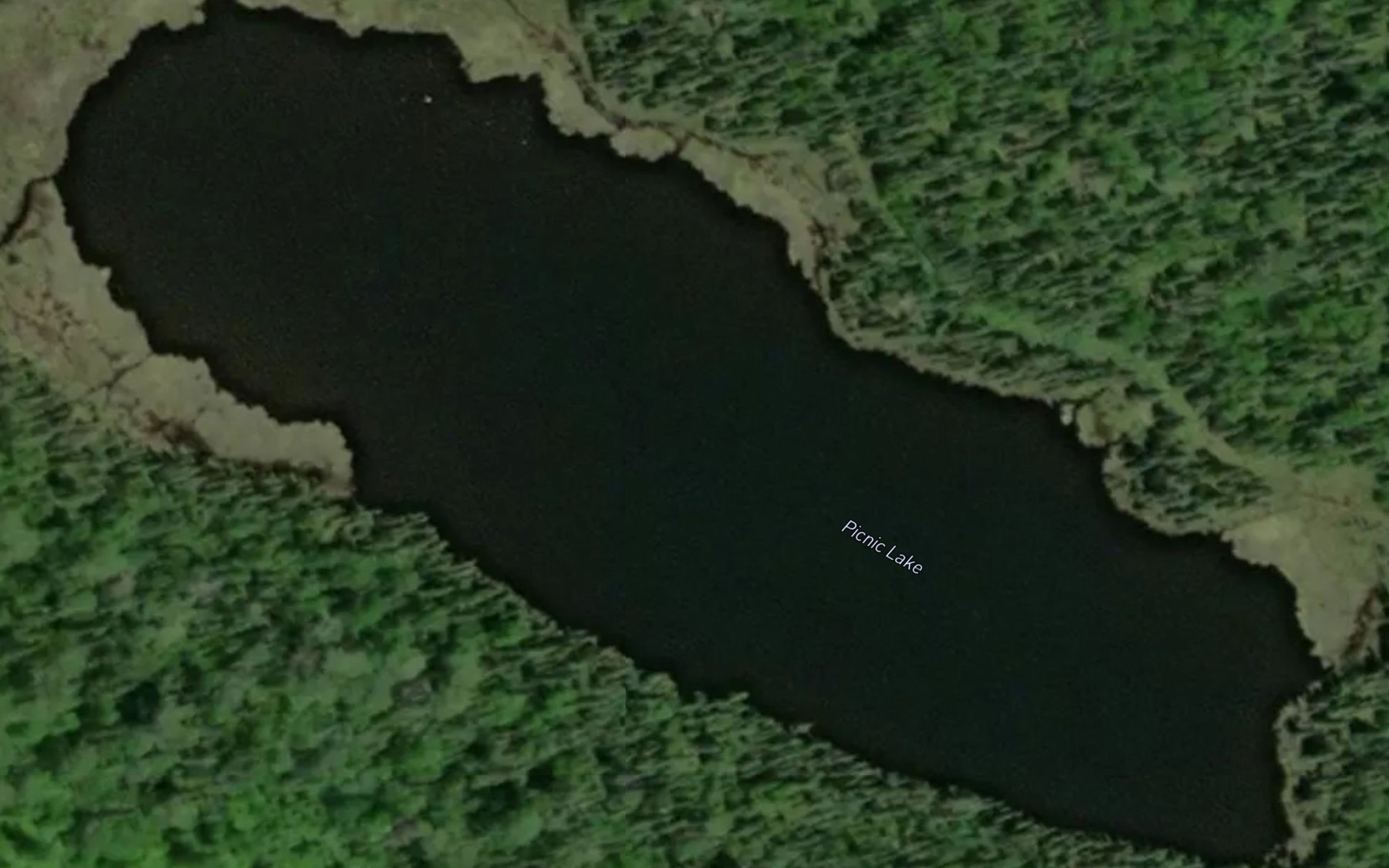 Satellite map of the Picnic Lake