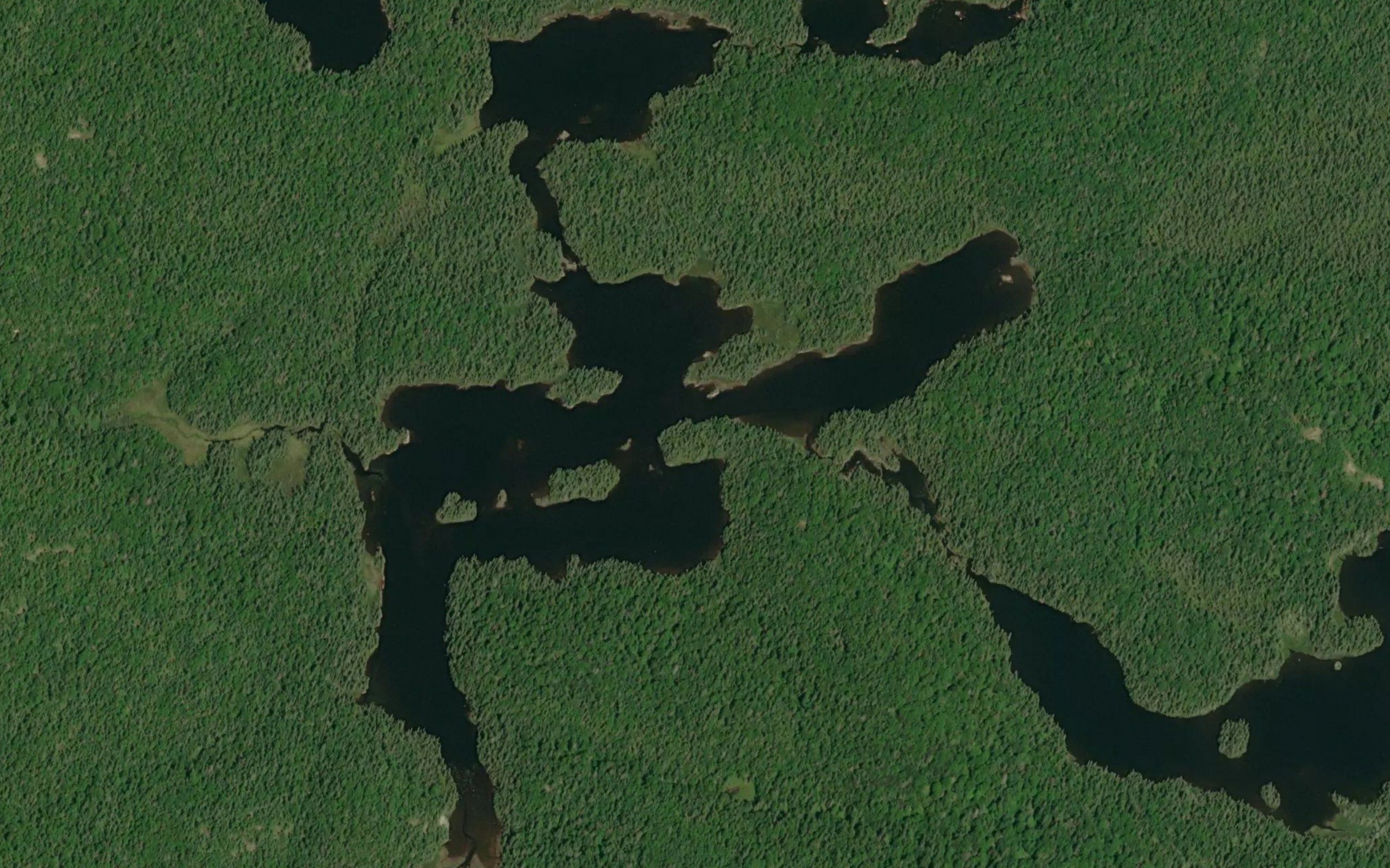 Bowman Lake