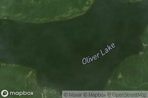 Oliver Lake