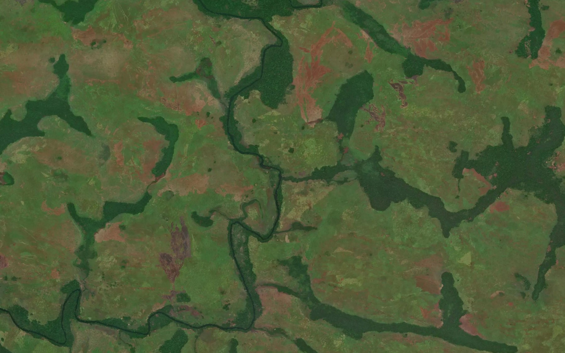Satellite map of the Yangango