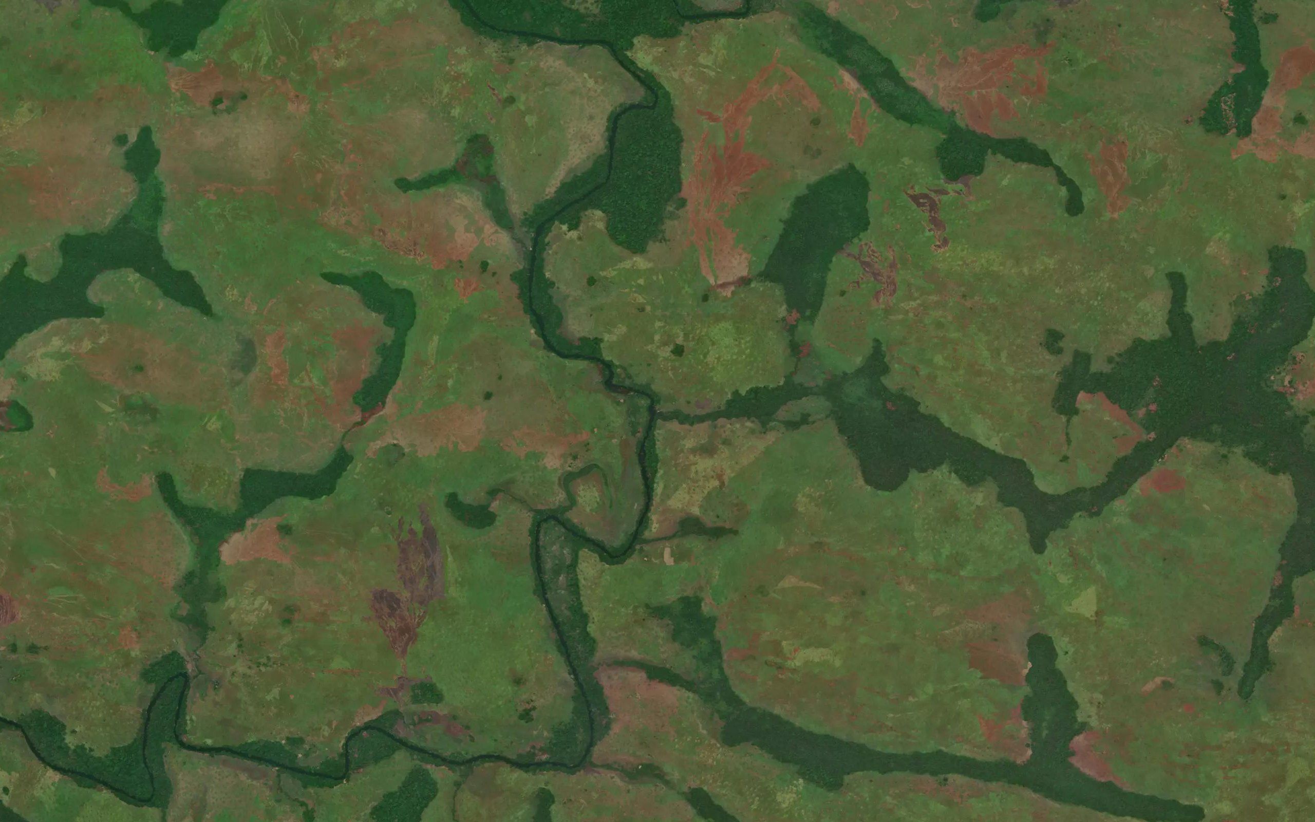 Yangango