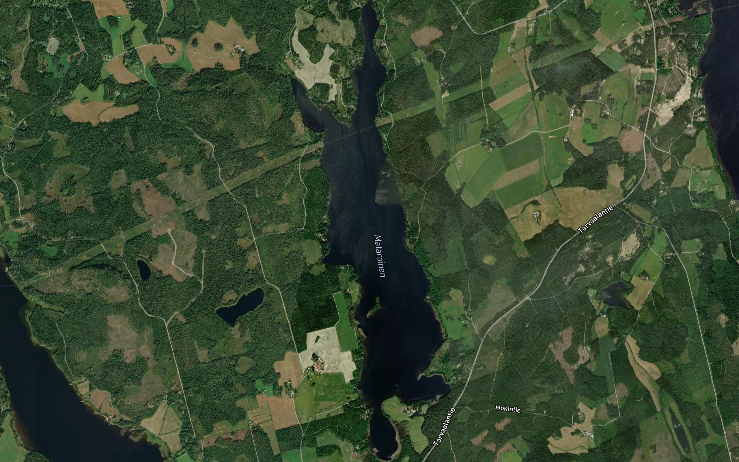 Mataroinen