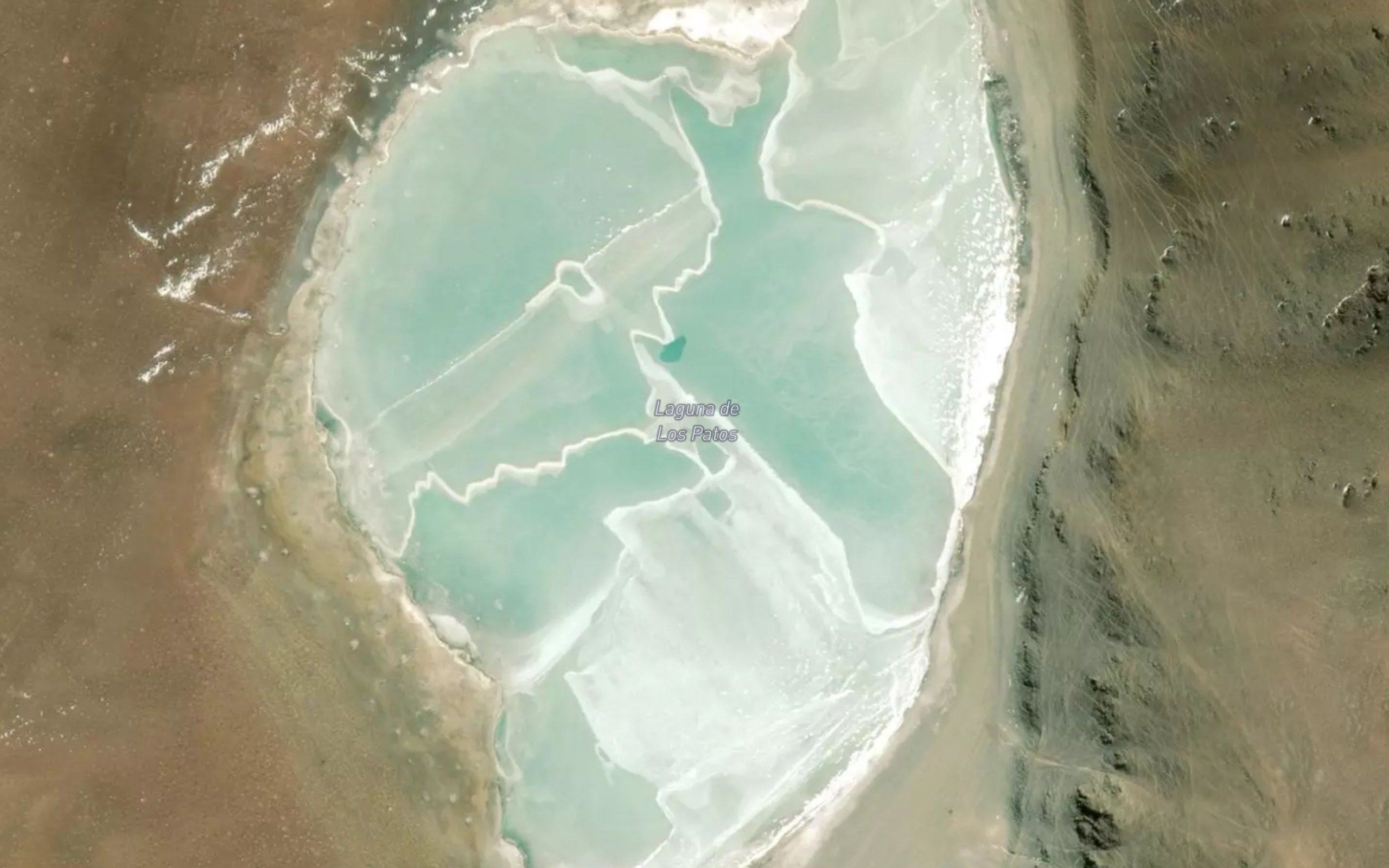 Laguna de los Patos