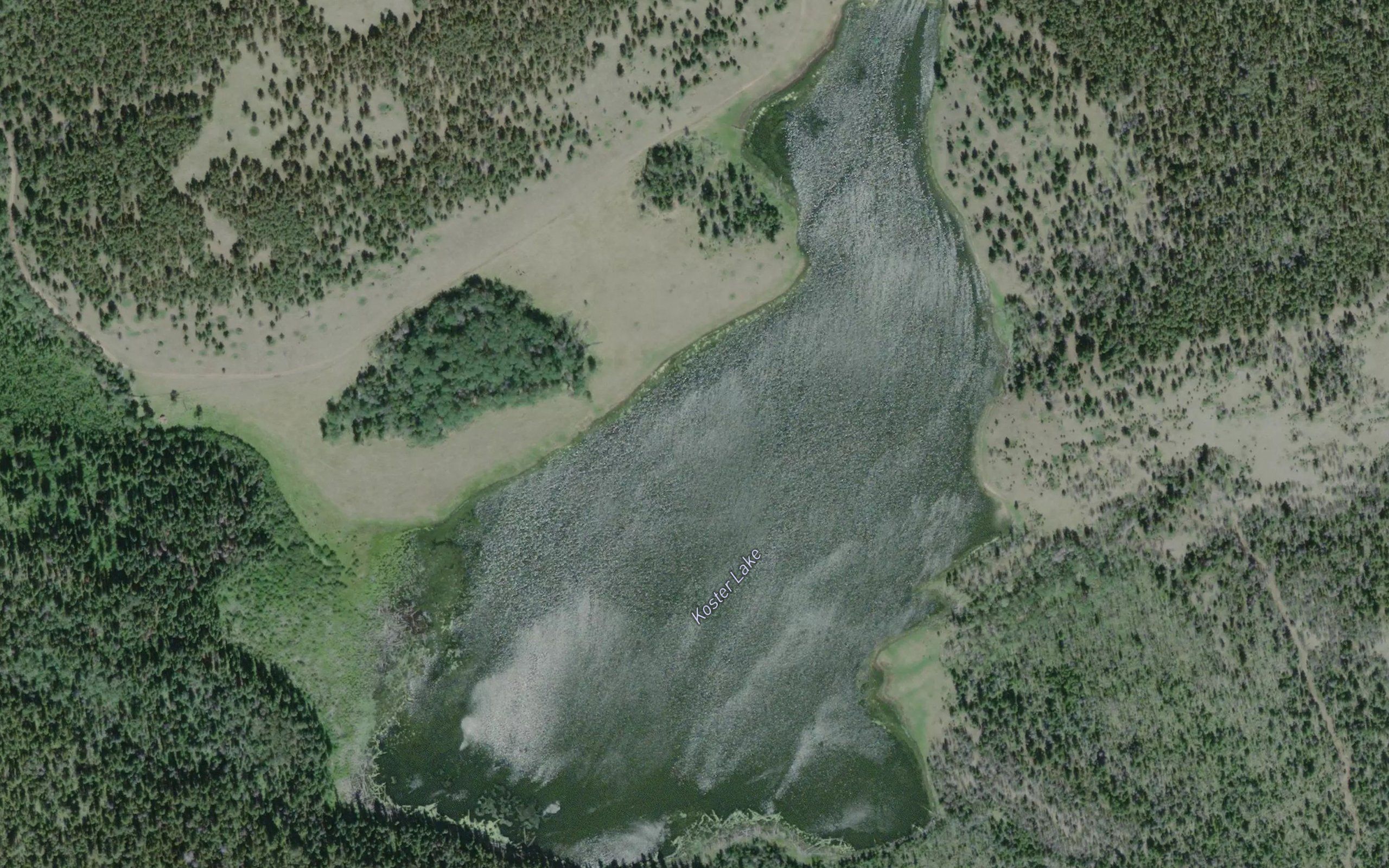 Koster Lake