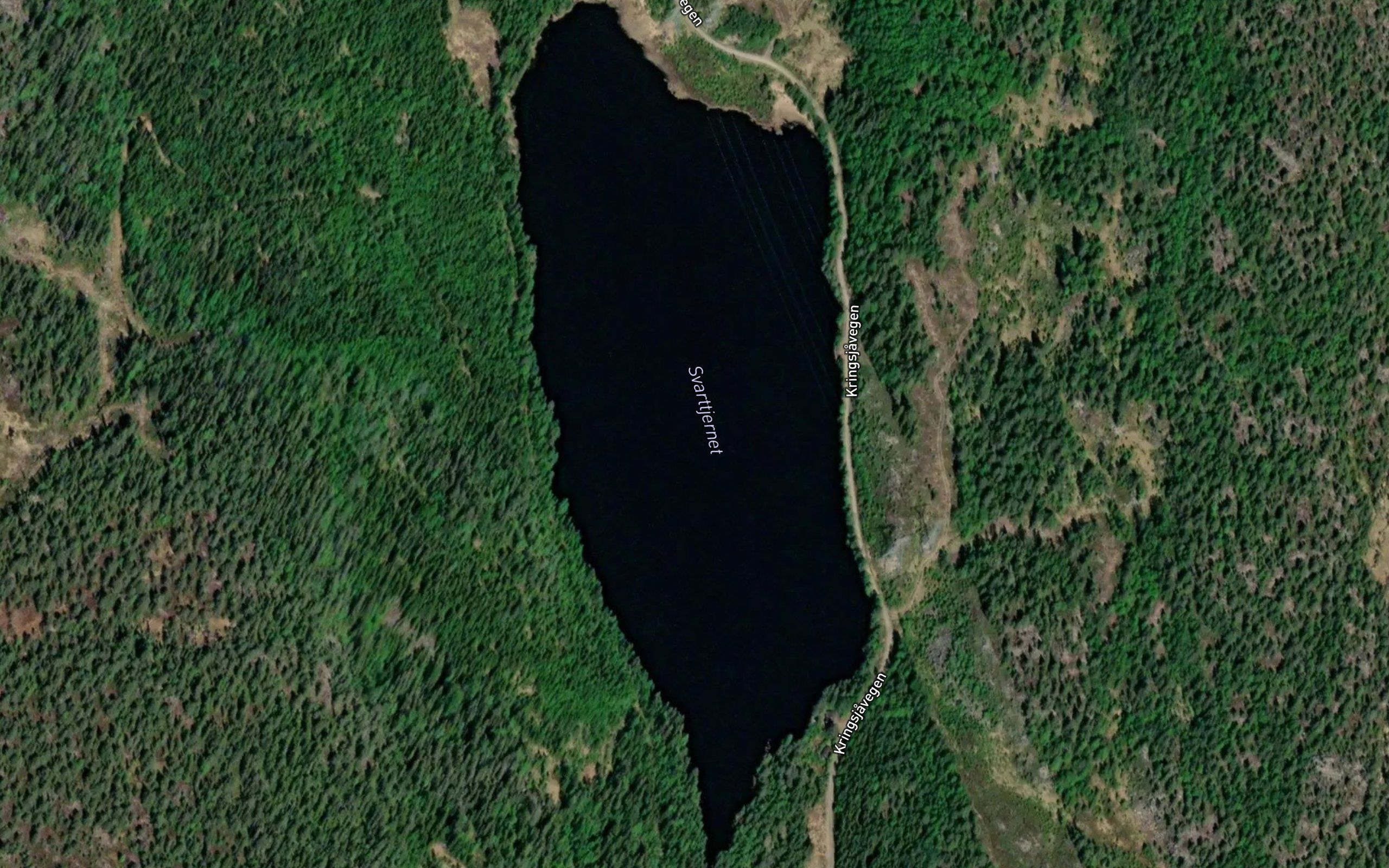 Svarttjern