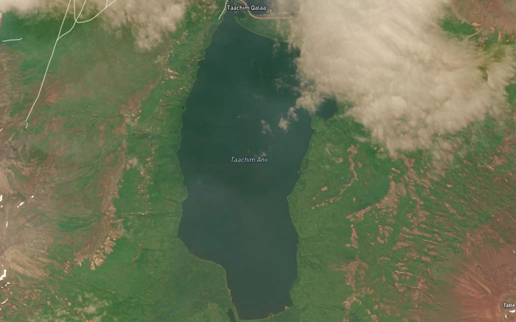Satellite map of the McLees Lake