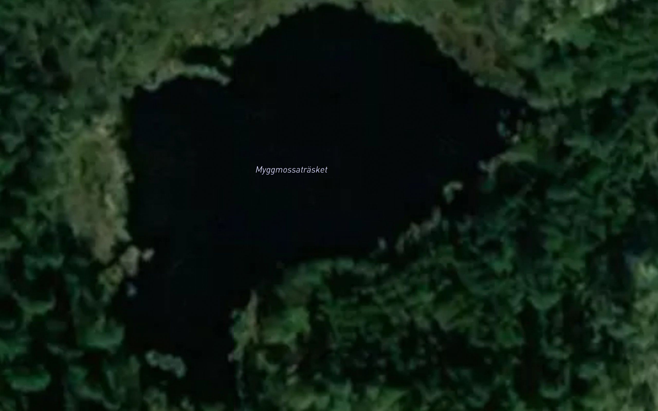 Maggmossatrasket